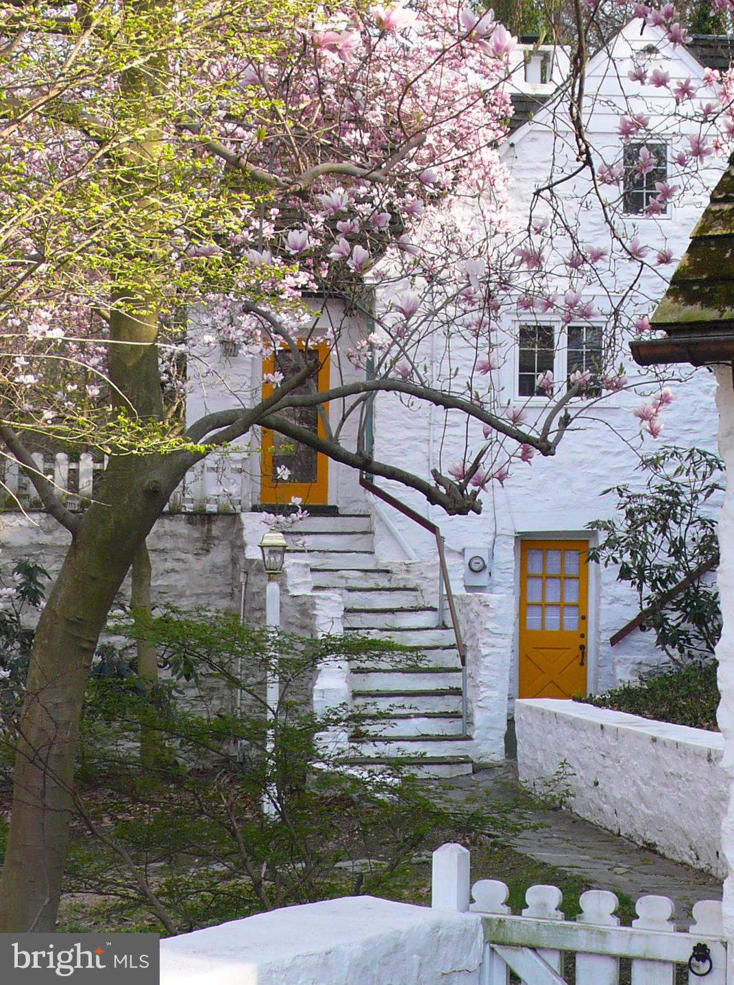 117 ARDEN ROAD