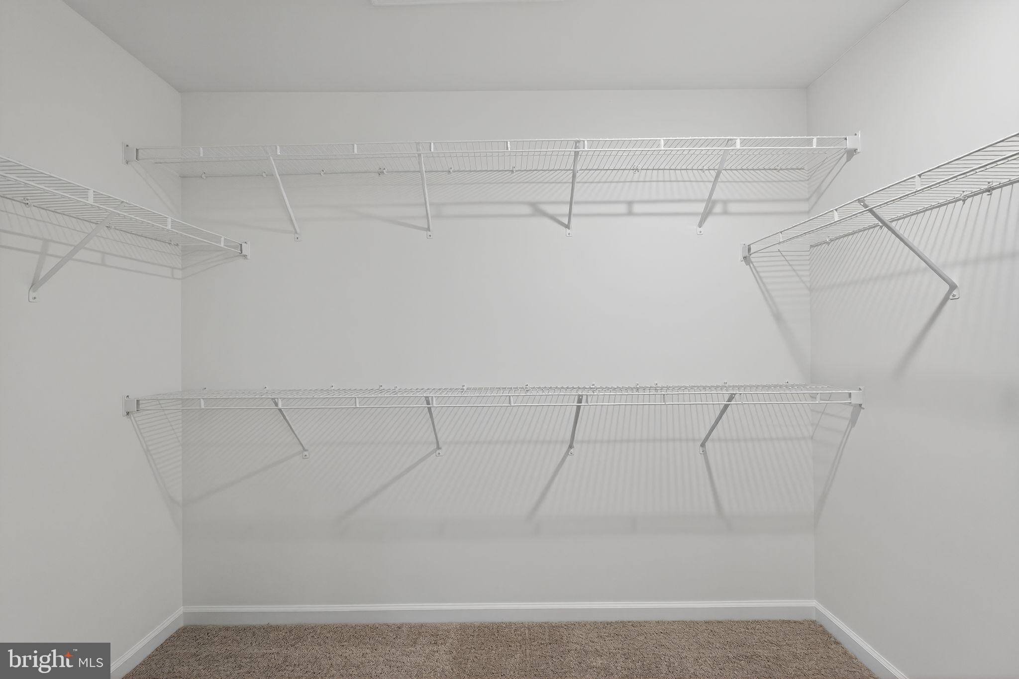 LEWIS POINTE - Residential