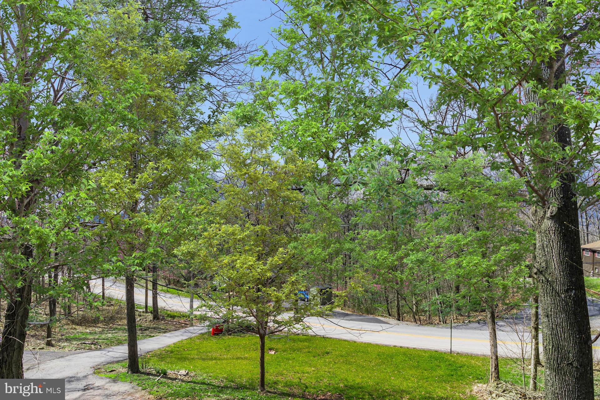 GLENWOOD FOREST - Residential