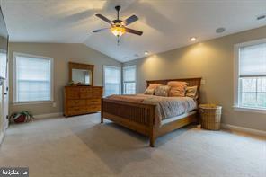 HIDDEN TREASURE - Residential