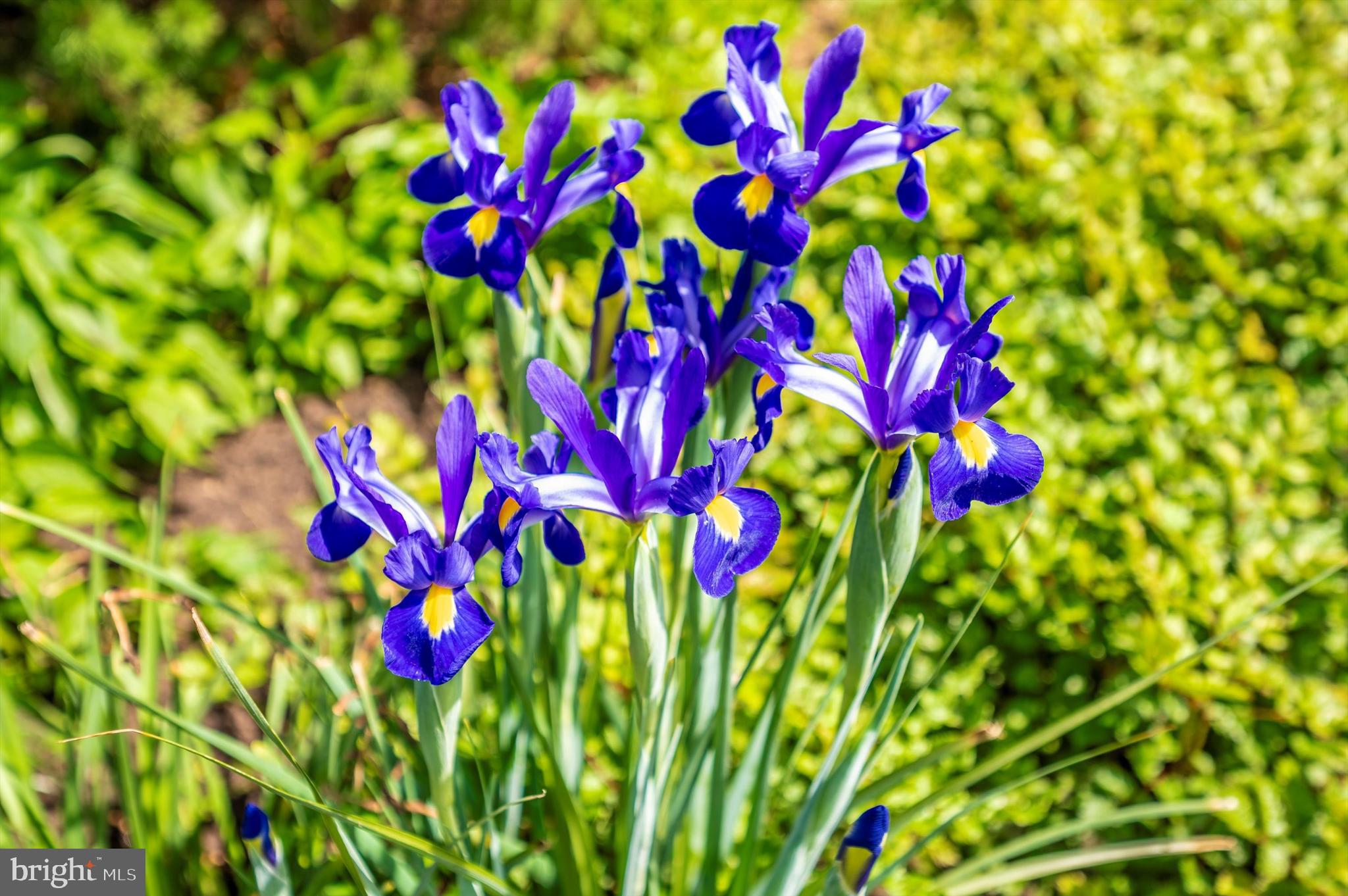 CLARKSBURG OUTSIDE - Residential