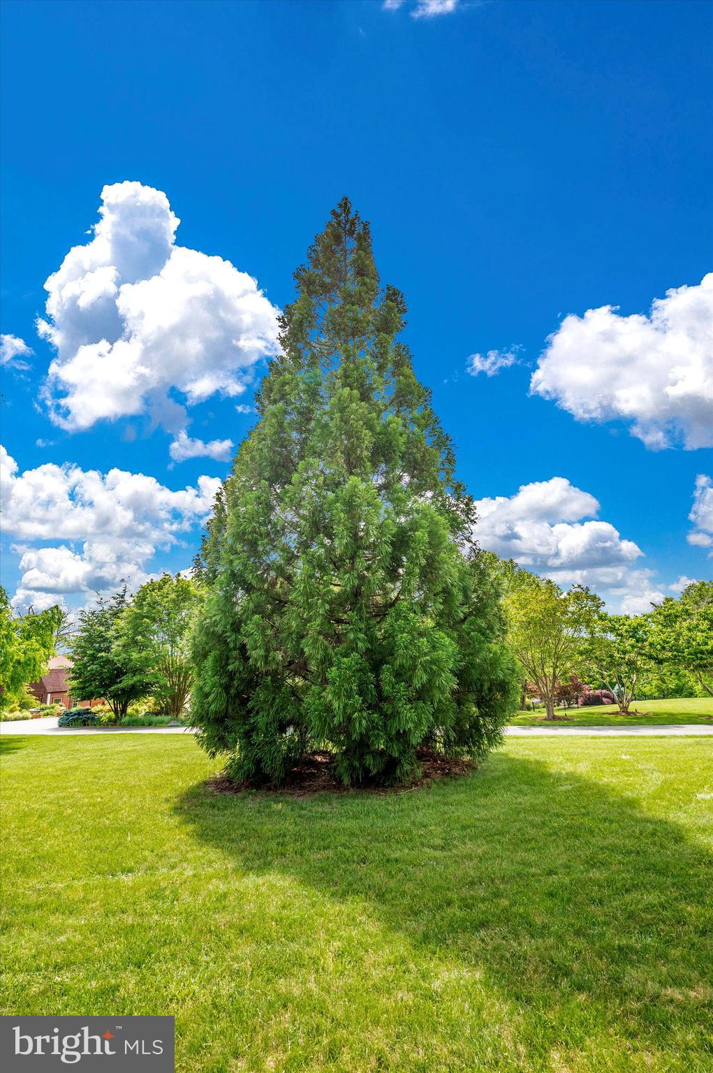 CLARKSBURG OUTSIDE - Residential