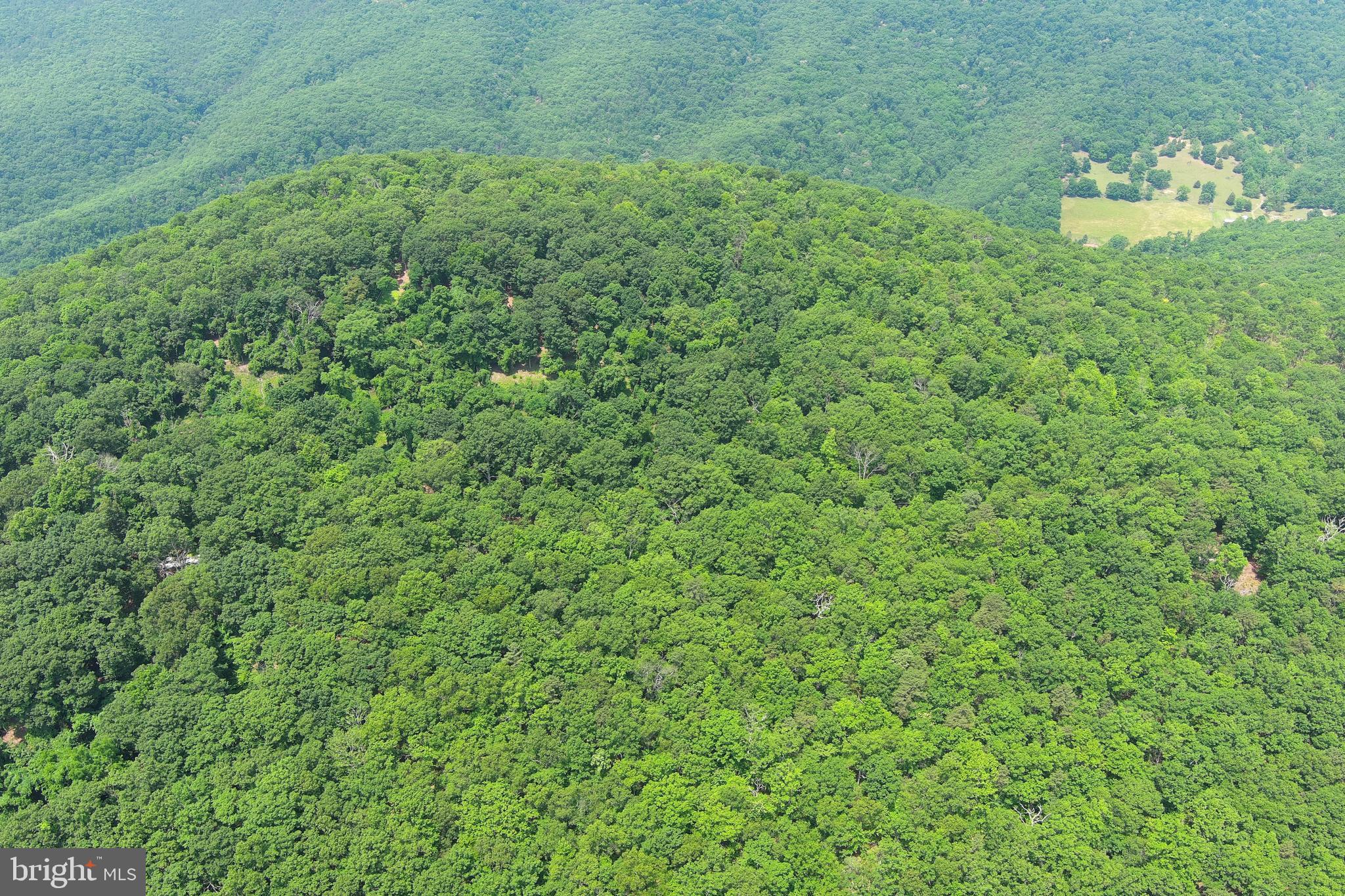 NEW CREEK MOUNTAIN ESTATES - Land