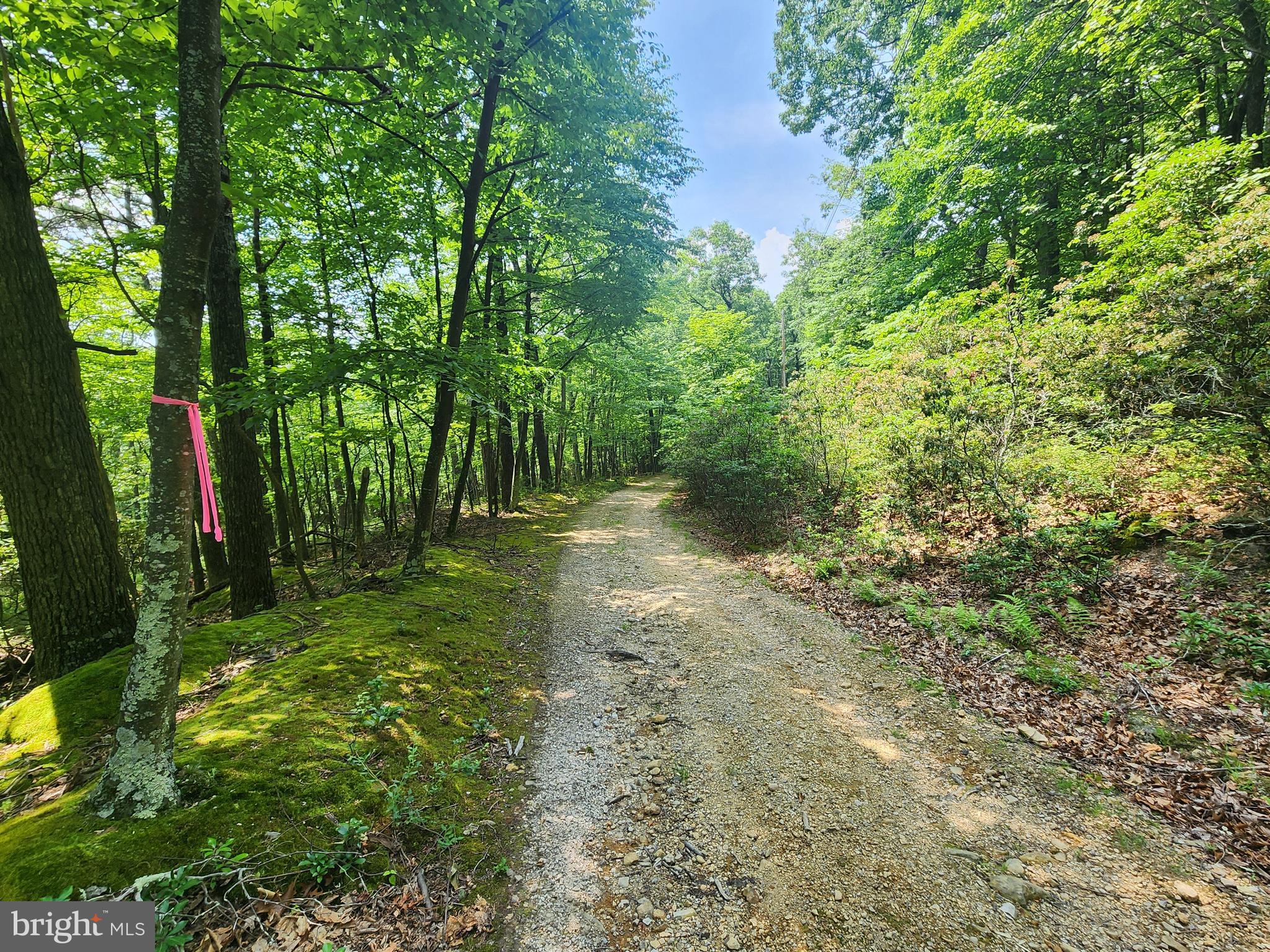 NEW CREEK MOUNTAIN ESTATES - Land