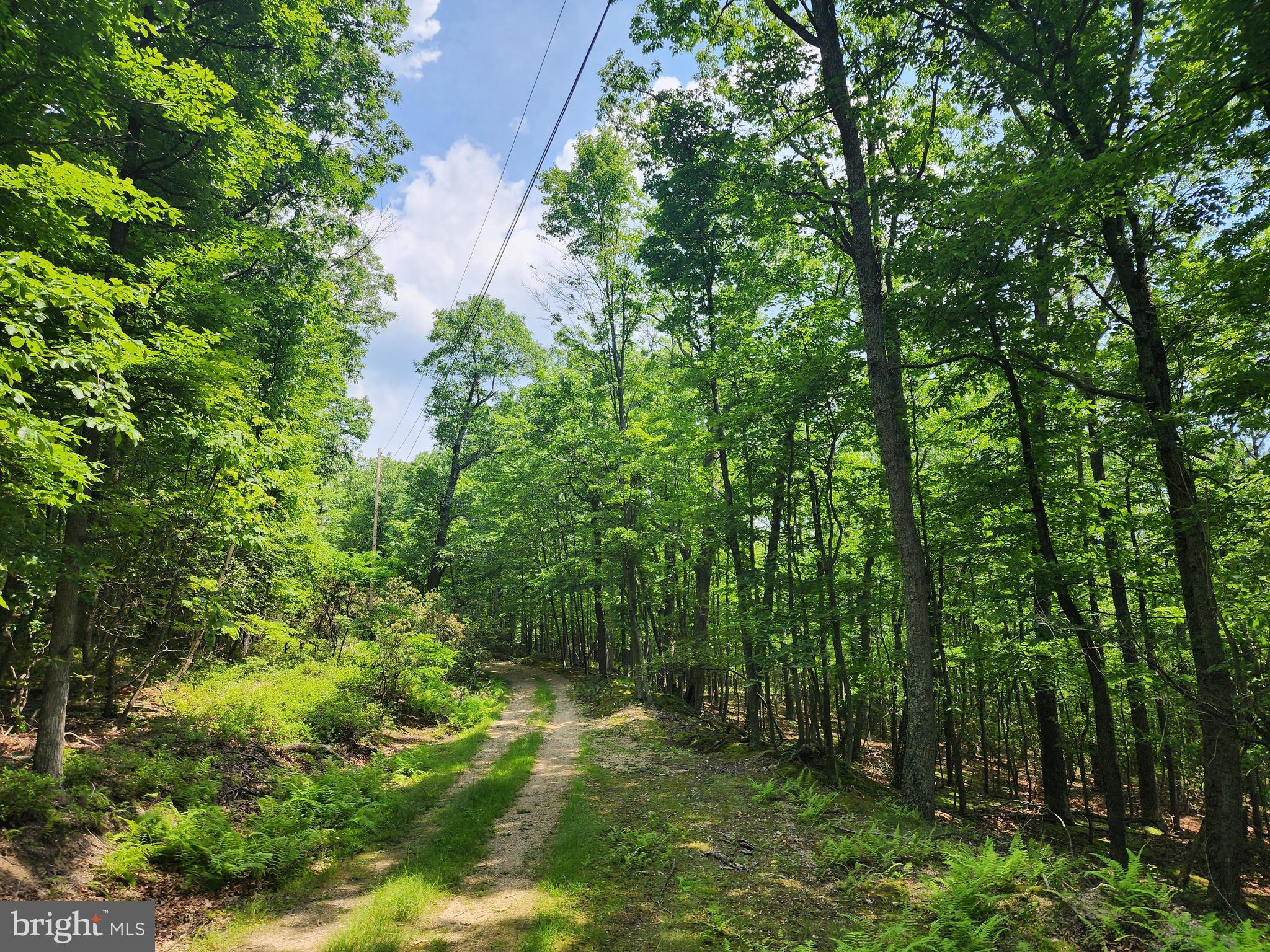 NEW CREEK MOUNTAIN ESTATES - Land