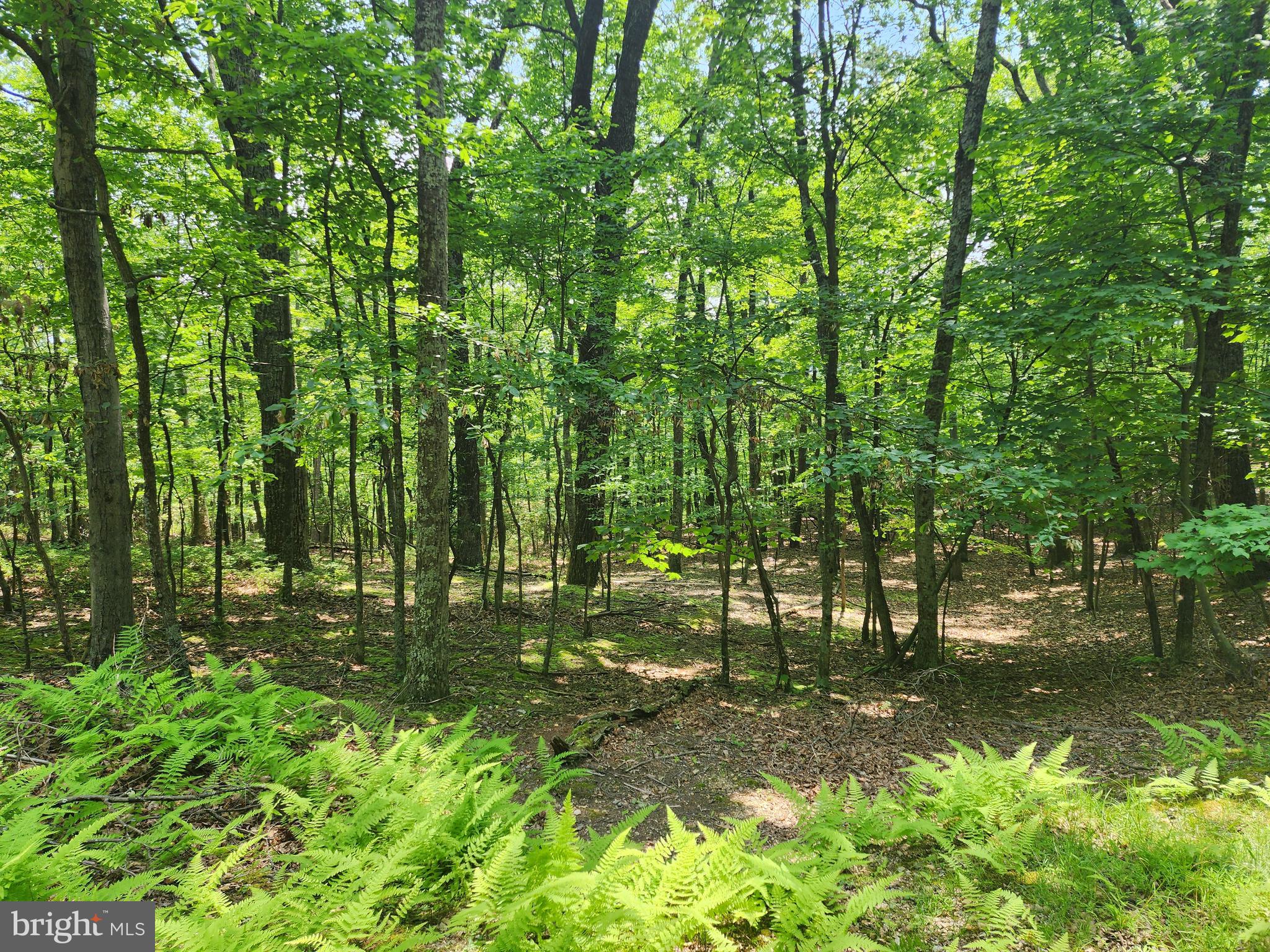 NEW CREEK MOUNTAIN ESTATES - Land