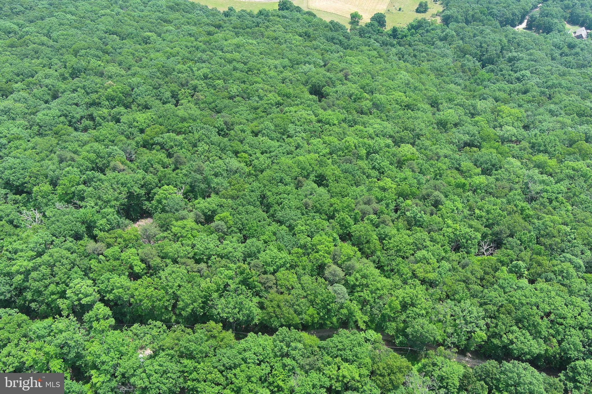 NEW CREEK MOUNTAIN ESTATES - Land