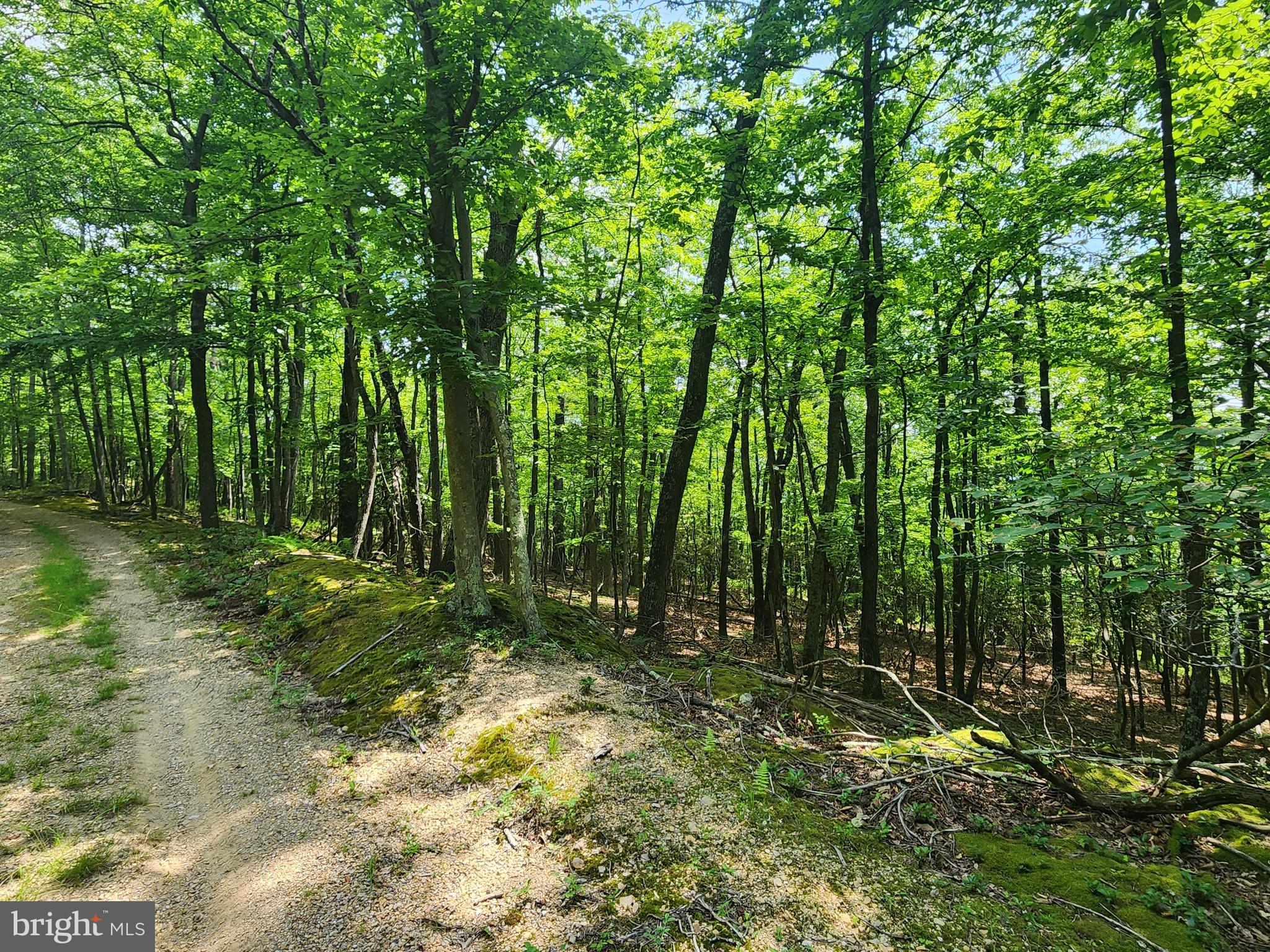 NEW CREEK MOUNTAIN ESTATES - Land