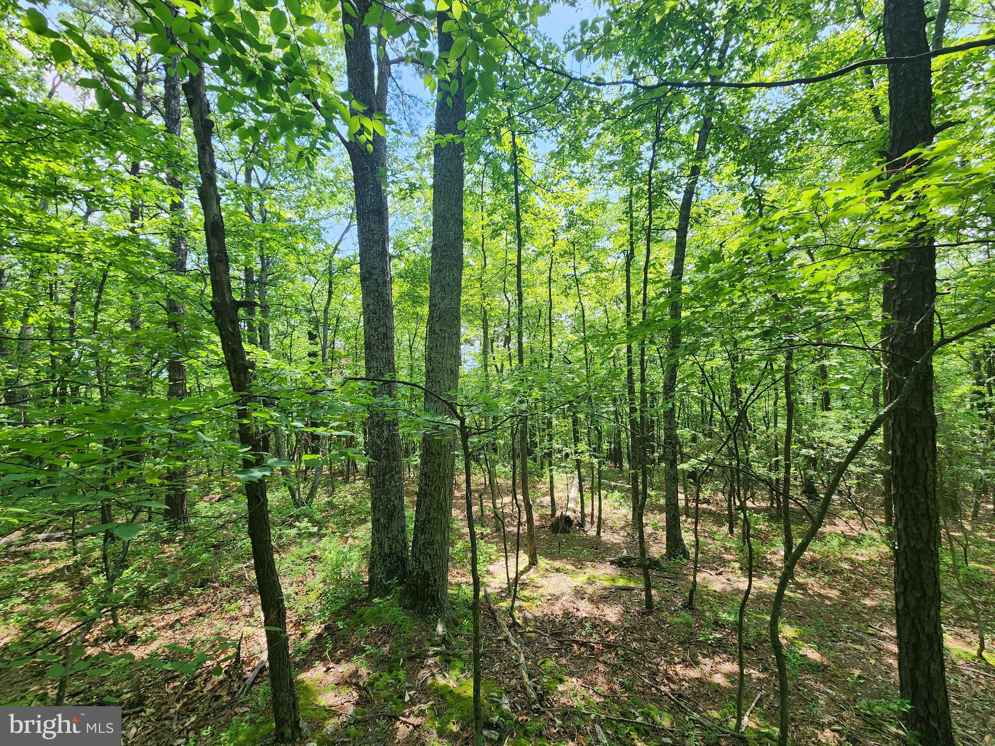 NEW CREEK MOUNTAIN ESTATES - Land