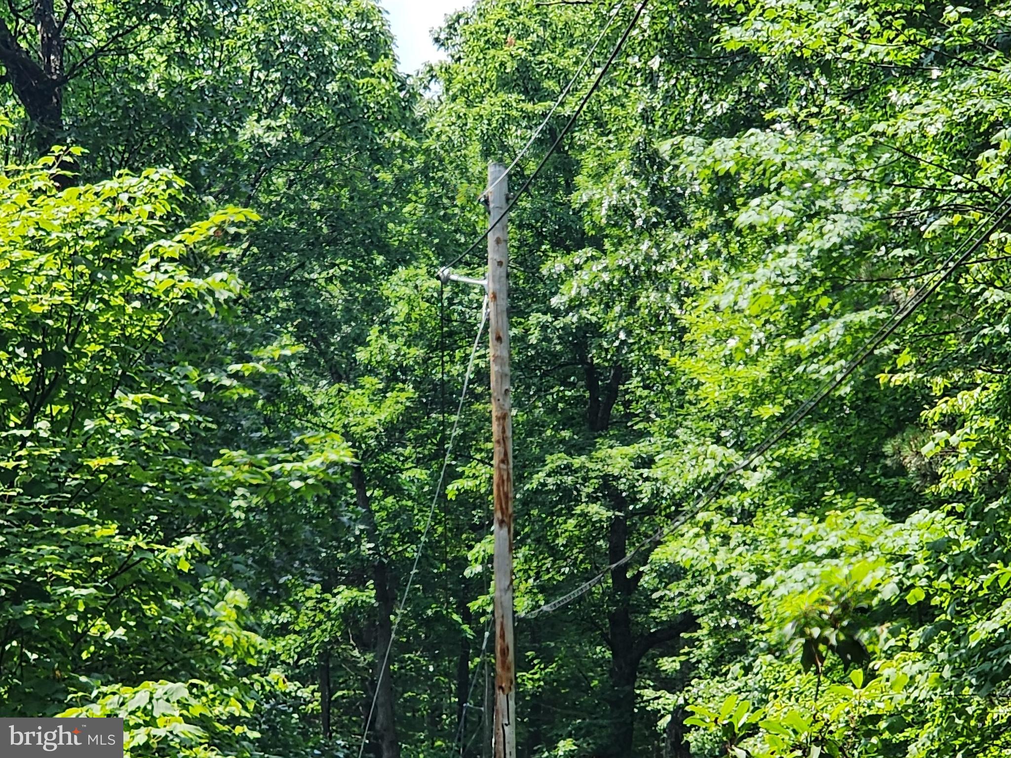 NEW CREEK MOUNTAIN ESTATES - Land