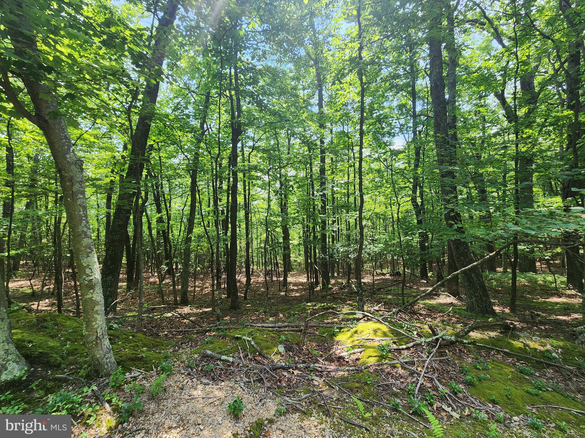 NEW CREEK MOUNTAIN ESTATES - Land