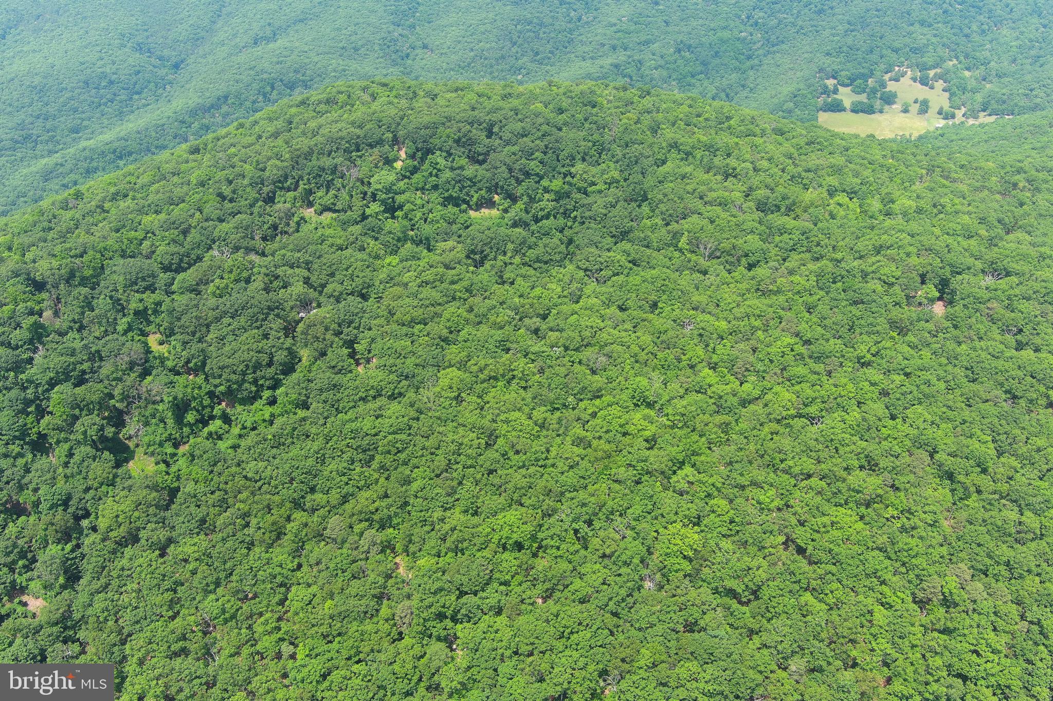 NEW CREEK MOUNTAIN ESTATES - Land