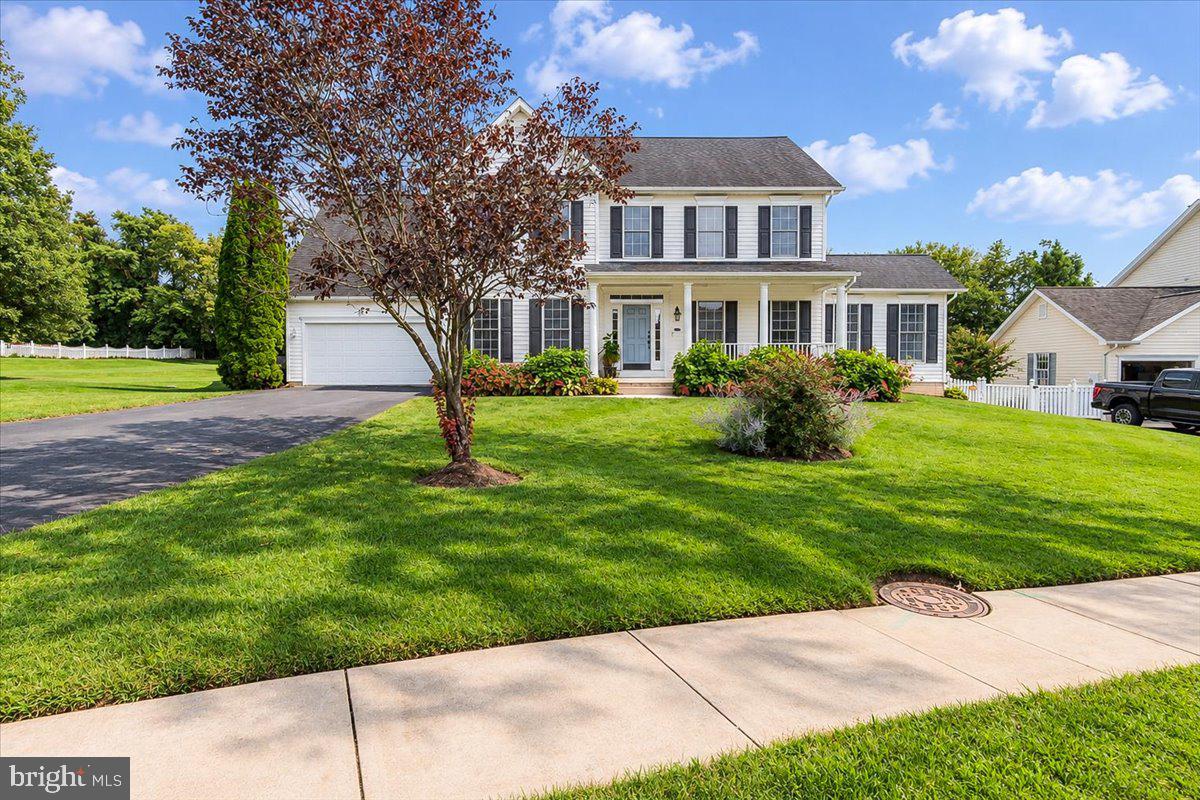 117 MINA DRIVE