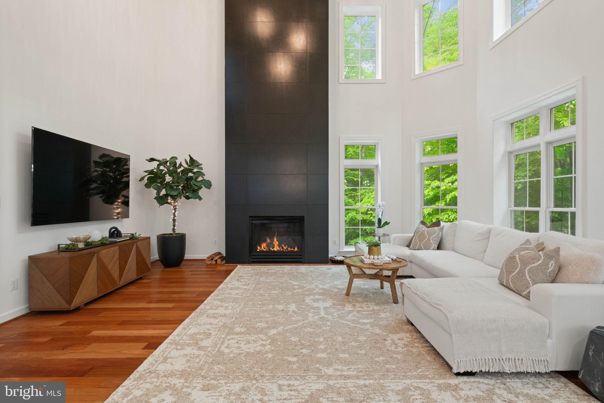 4245 WINDERMERE VIEW PLACE