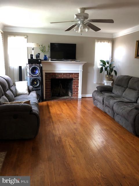 LEWISDALE - Residential