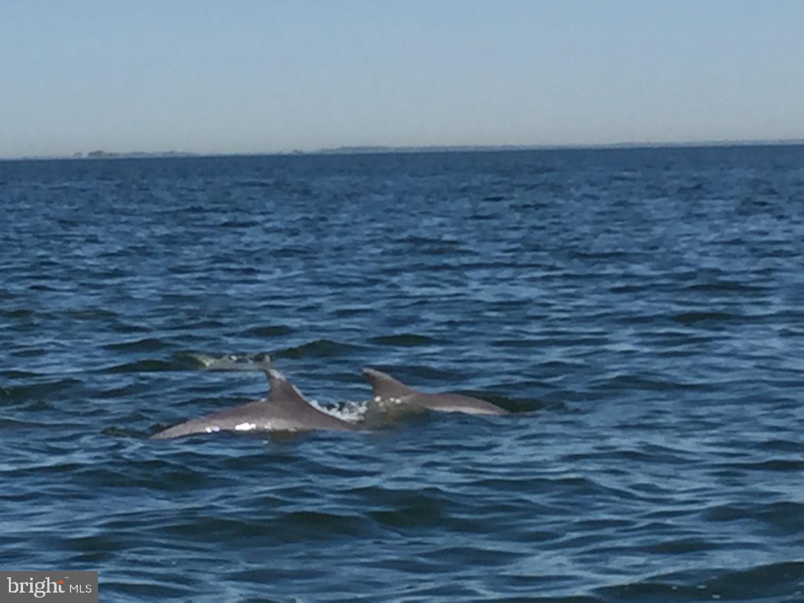 HAYS BEACH - Residential