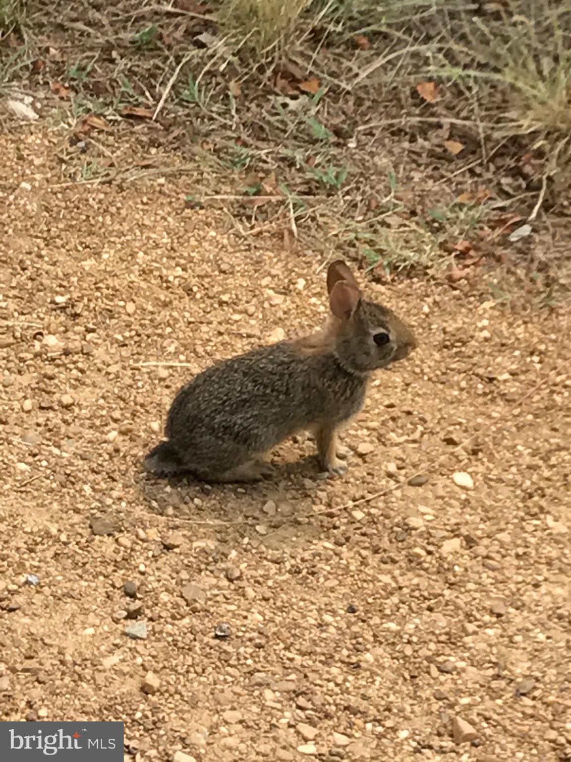 HAYS BEACH - Residential