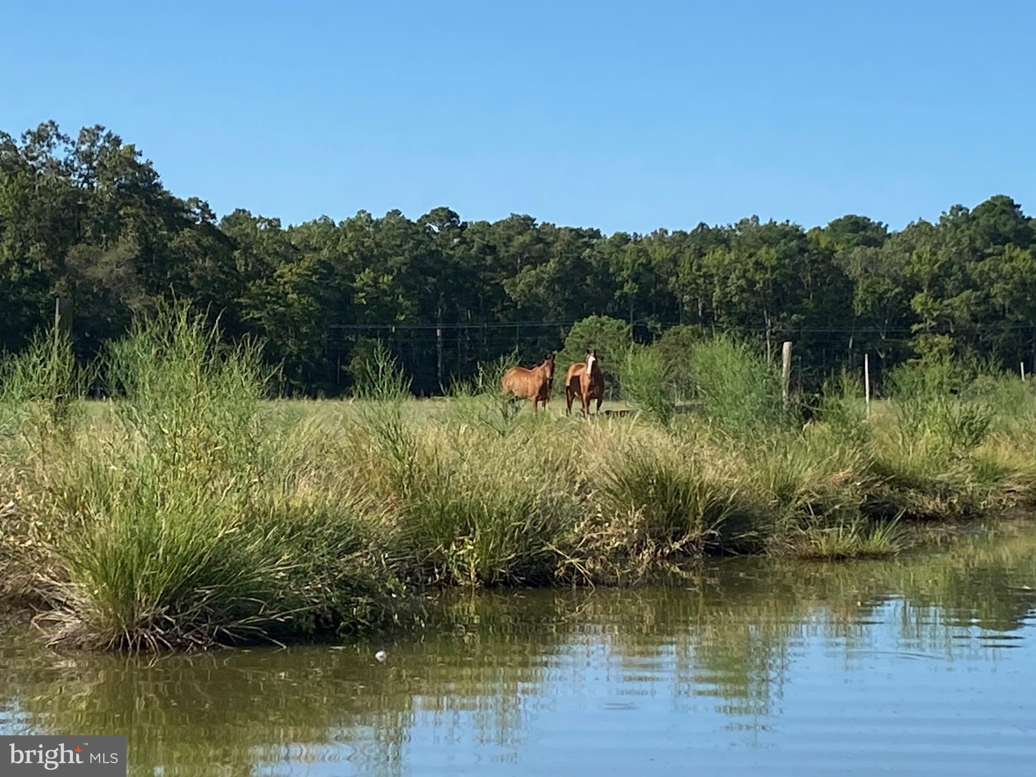 HAYS BEACH - Residential