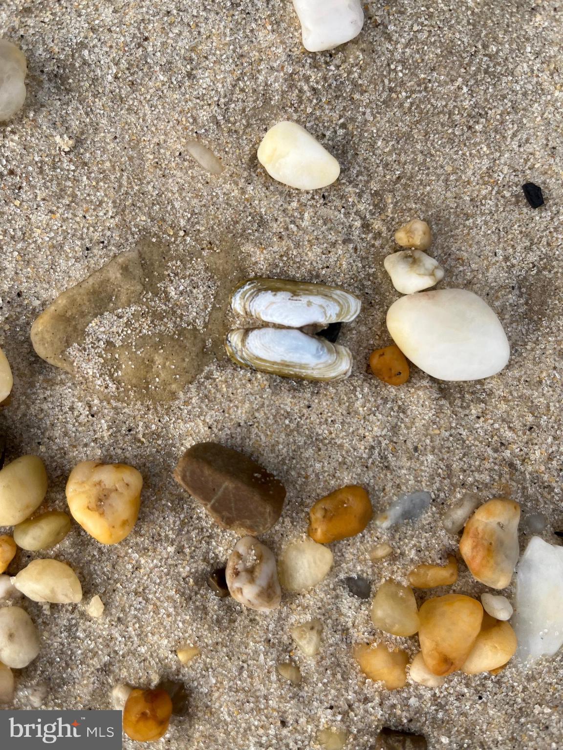 HAYS BEACH - Residential