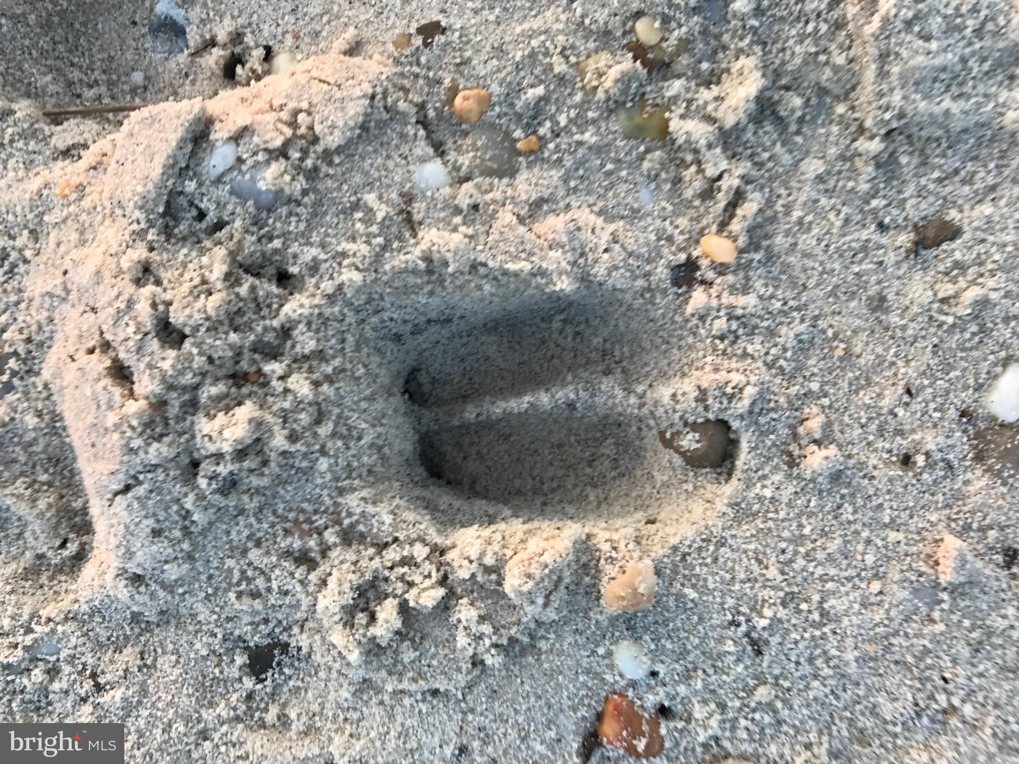 HAYS BEACH - Residential