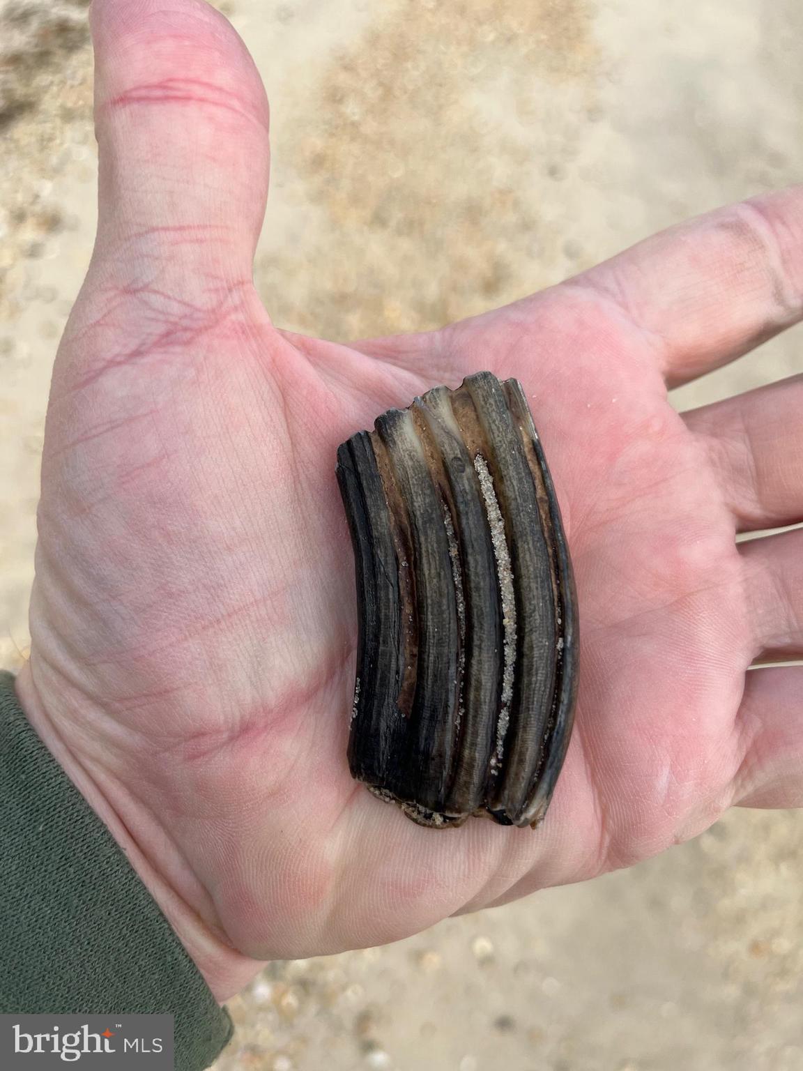 HAYS BEACH - Residential