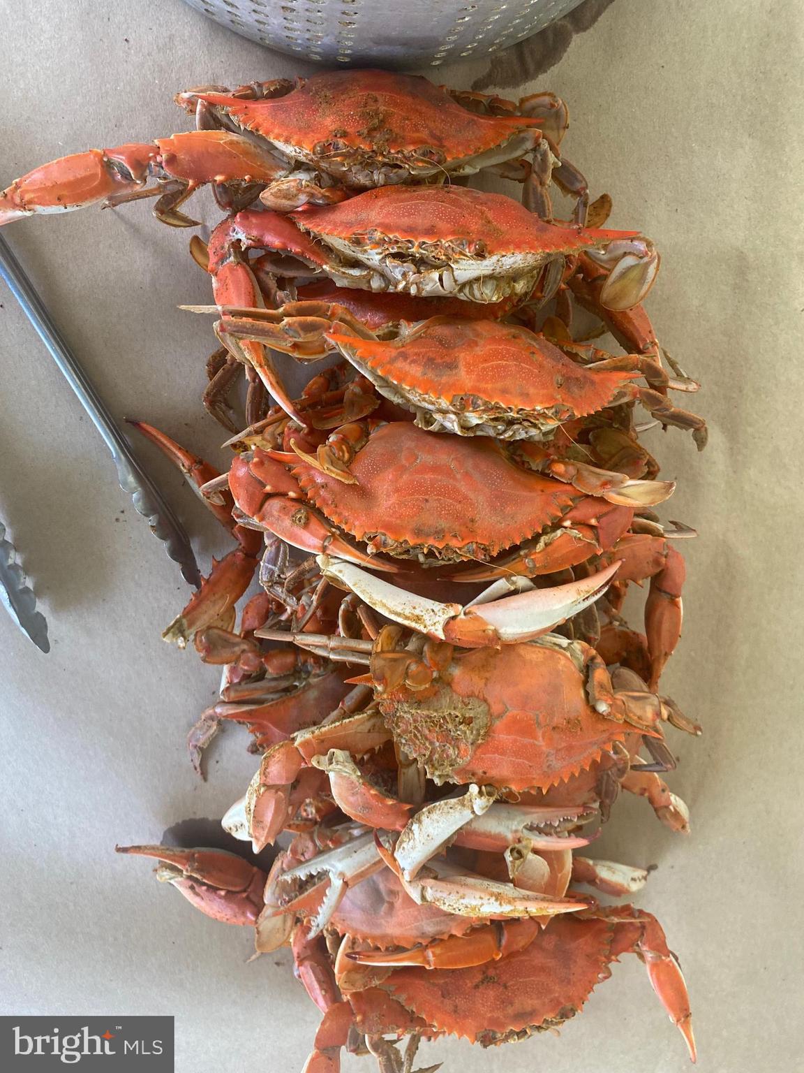 HAYS BEACH - Residential