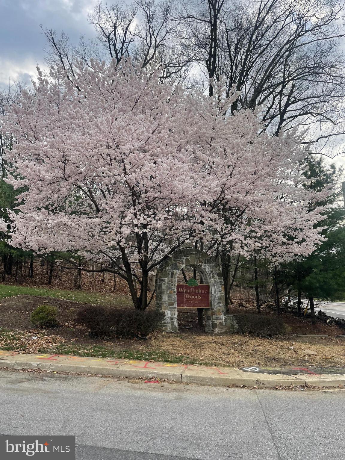 WYNDHOLME WOODS - Residential