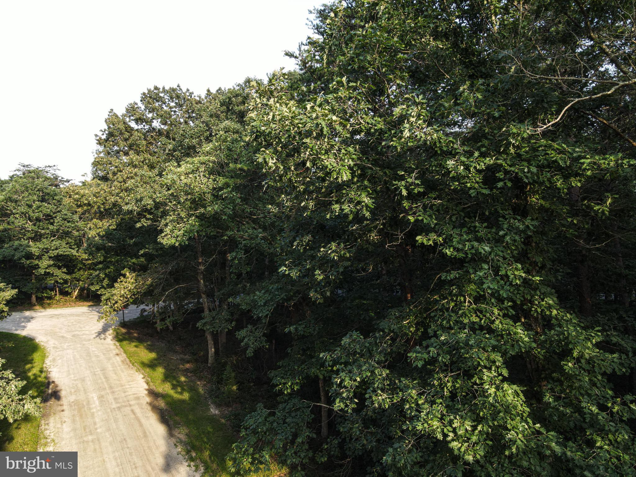 CARPENTER AVENUE