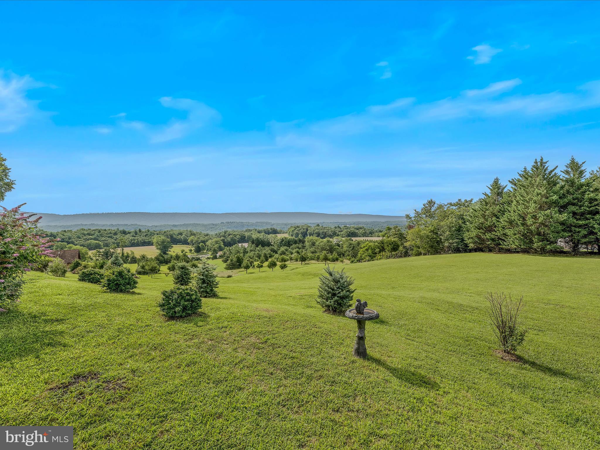 TOP MEADOW - Residential