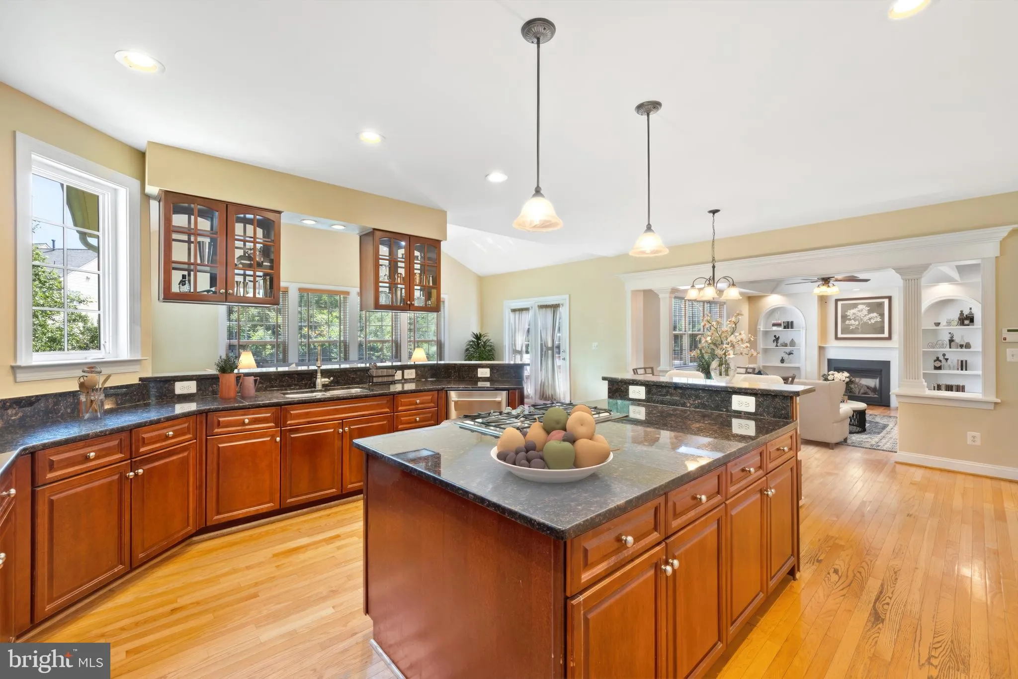 Manassas, Virginia 20112, United States, 5 Bedrooms Bedrooms, ,5 BathroomsBathrooms,Residential,Coming Soon,162132