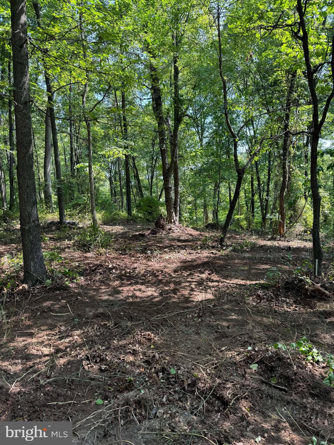 SLEEPY CREEK FOREST - Land