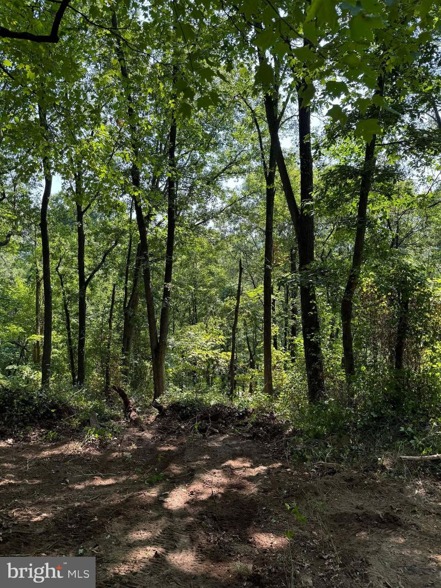 This stunning 3.58-acre lot nestled in the mountains offers breathtaking views and serene surroundings. Perfect for those that want to build a dream home or a peaceful retreat, this property provides ample space and privacy. Enjoy the beauty of nature with fresh mountain air and the tranquility that comes with mountain living. Don't miss out on this rare opportunity to own a piece of paradise.