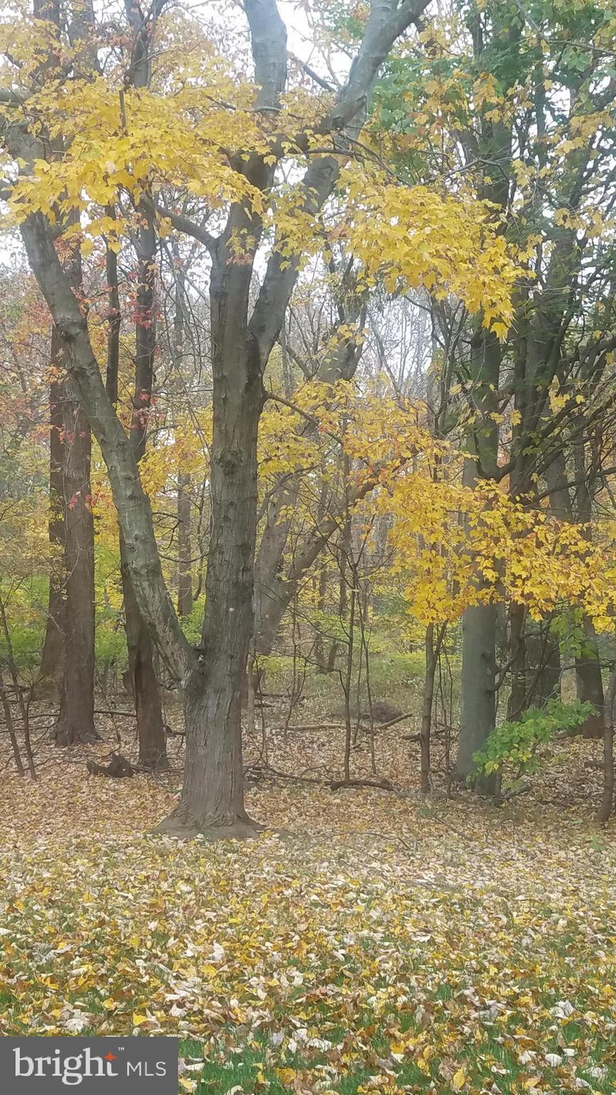 LINDENFIELD - Residential