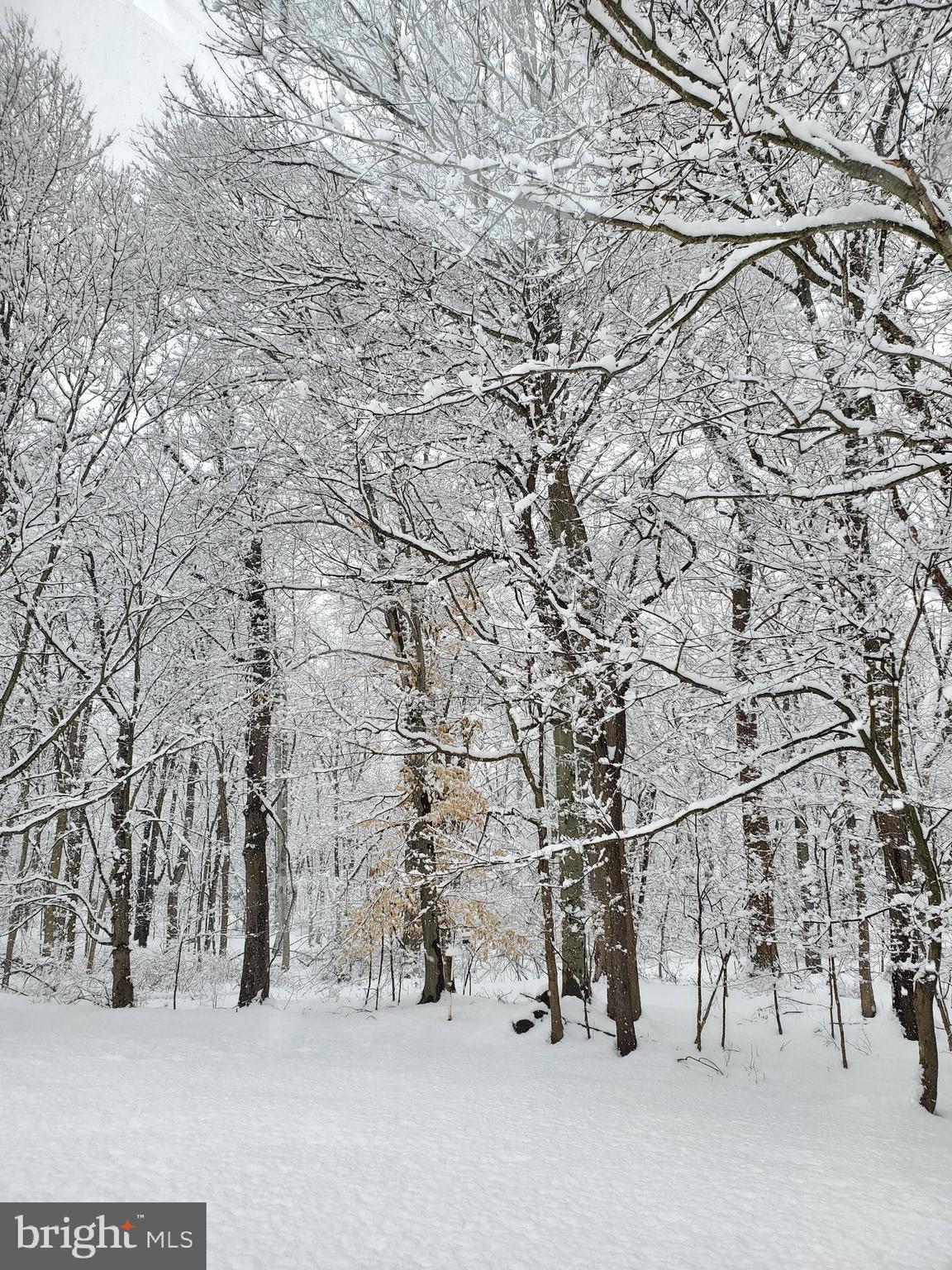 LINDENFIELD - Residential