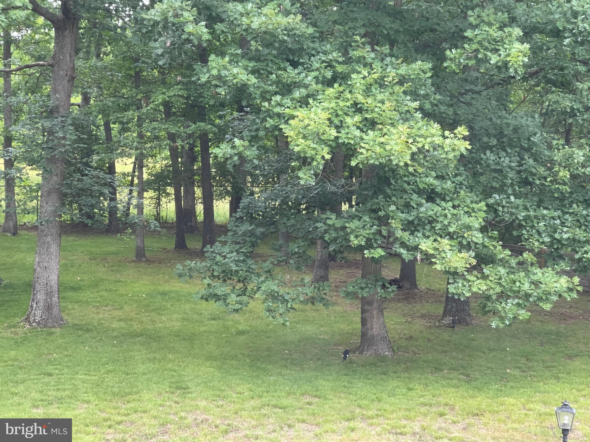 11929 AUTUMNWOOD LANE