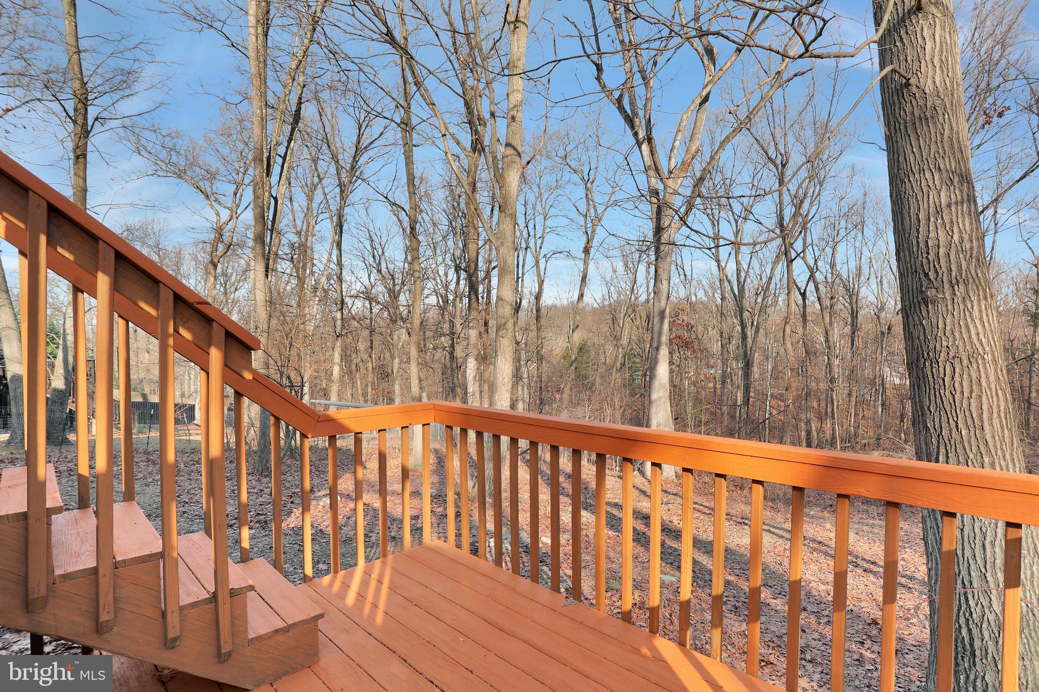 SHANNONDALE - Residential