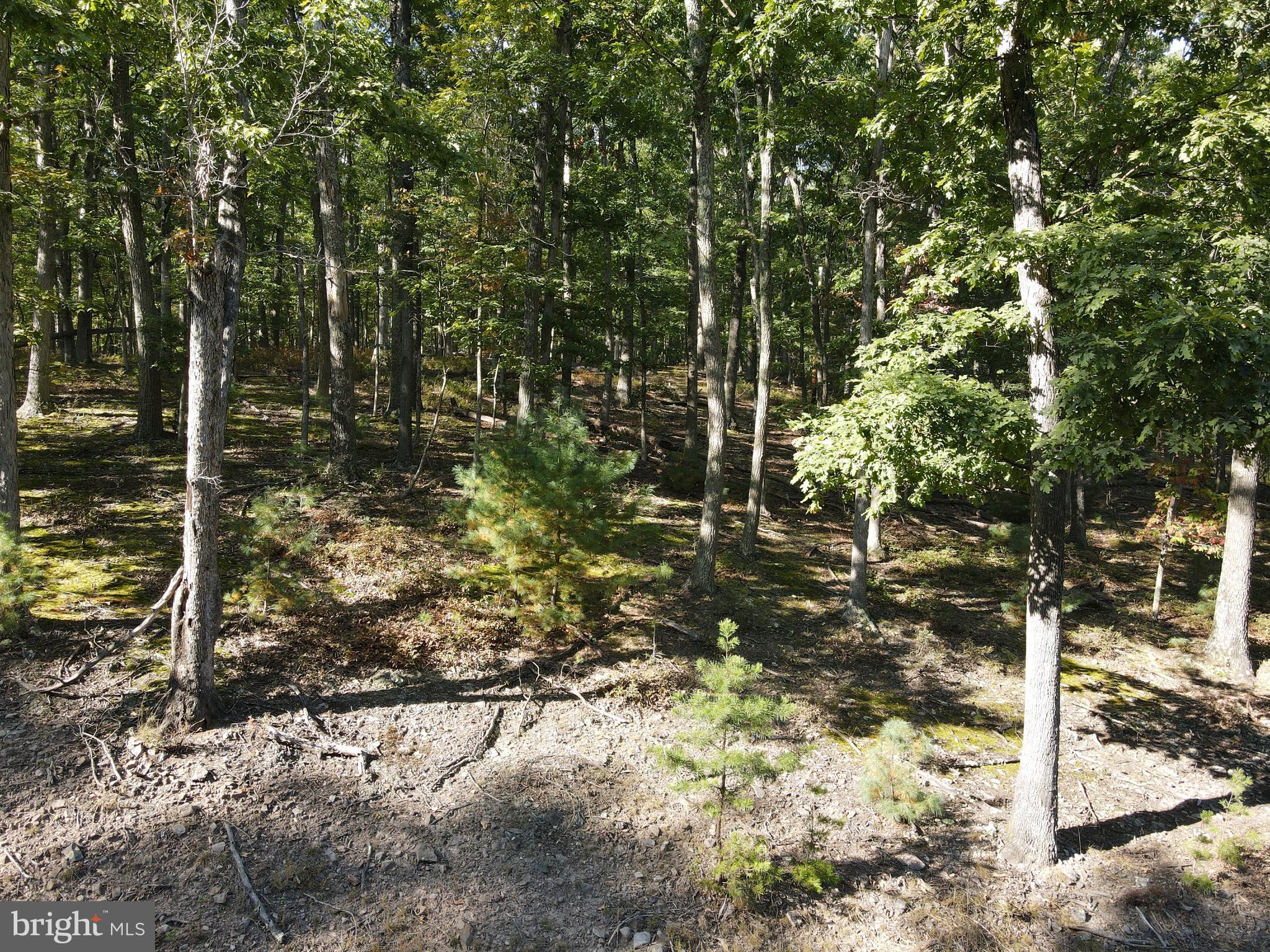 WHITETAIL MOUNTAIN - Land