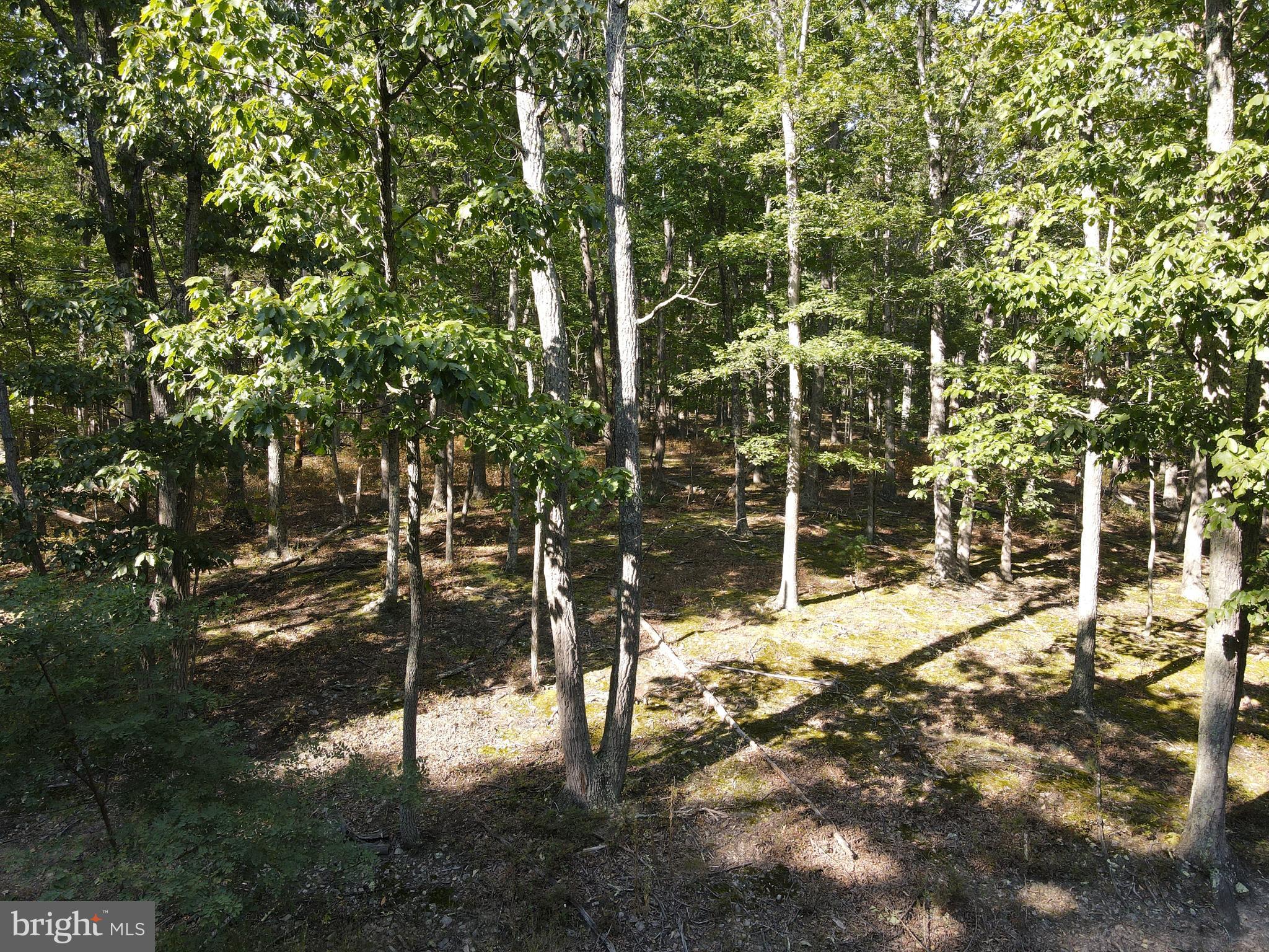 WHITETAIL MOUNTAIN - Land