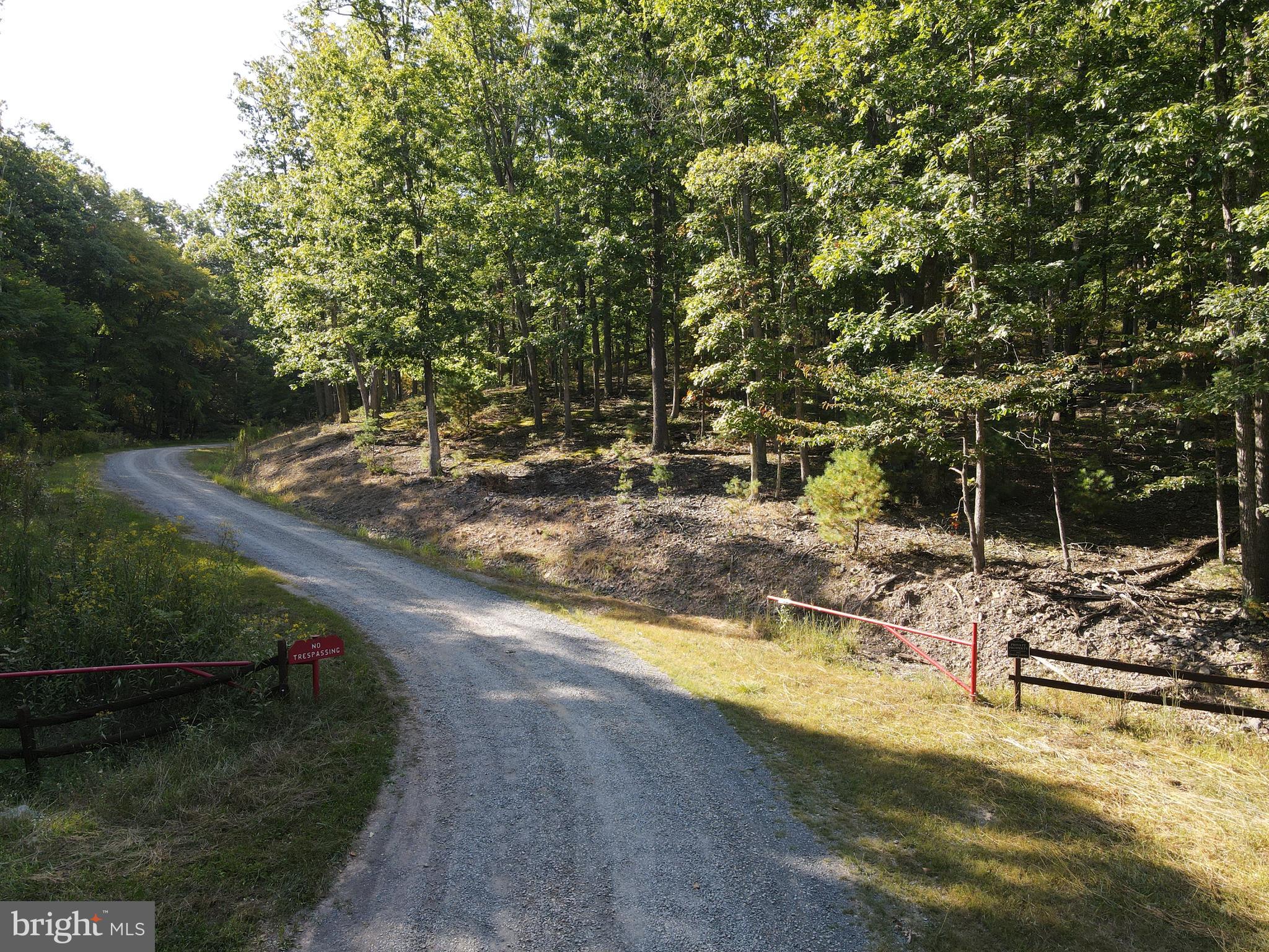 WHITETAIL MOUNTAIN - Land