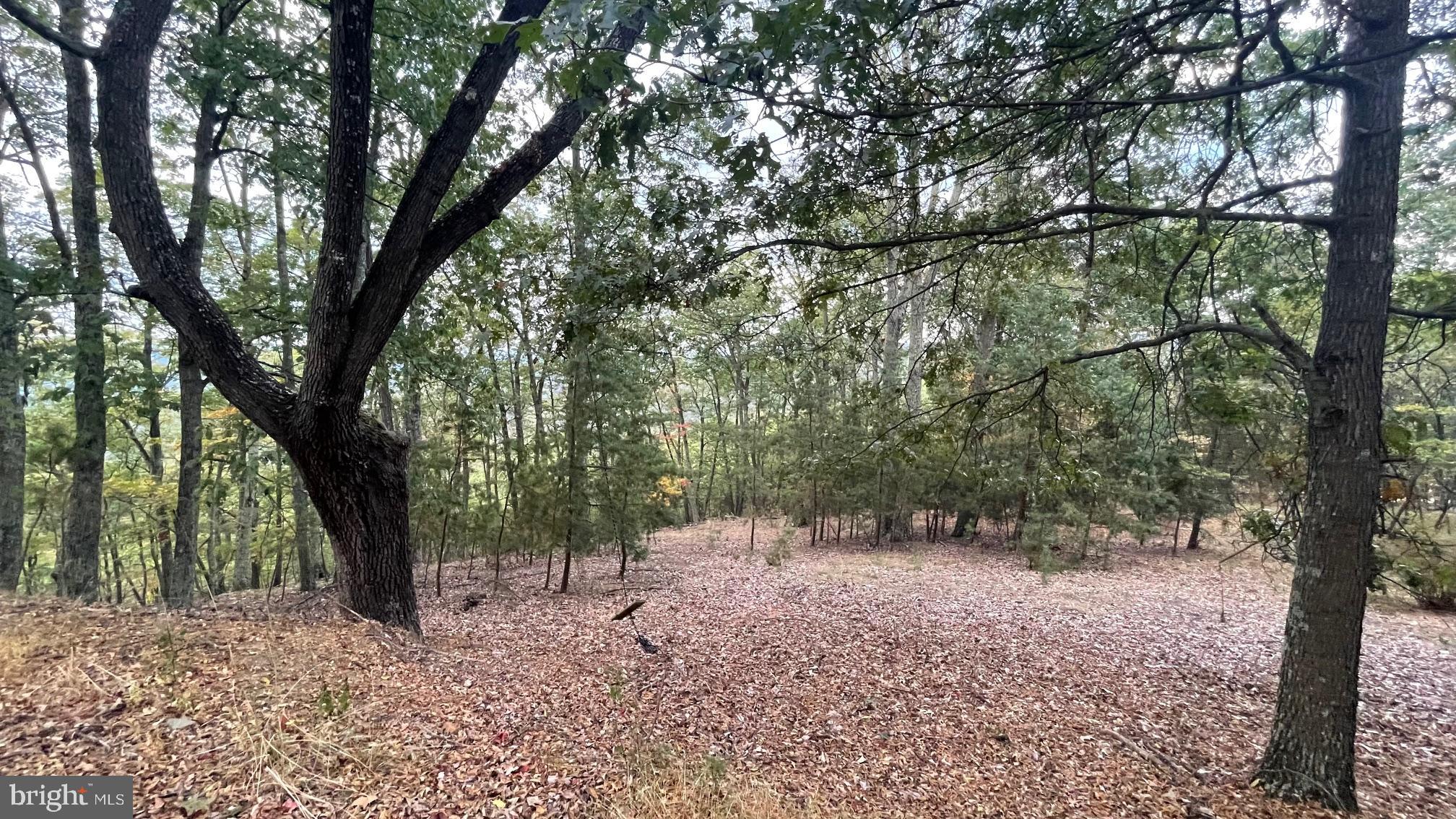 WHITETAIL MOUNTAIN - Land