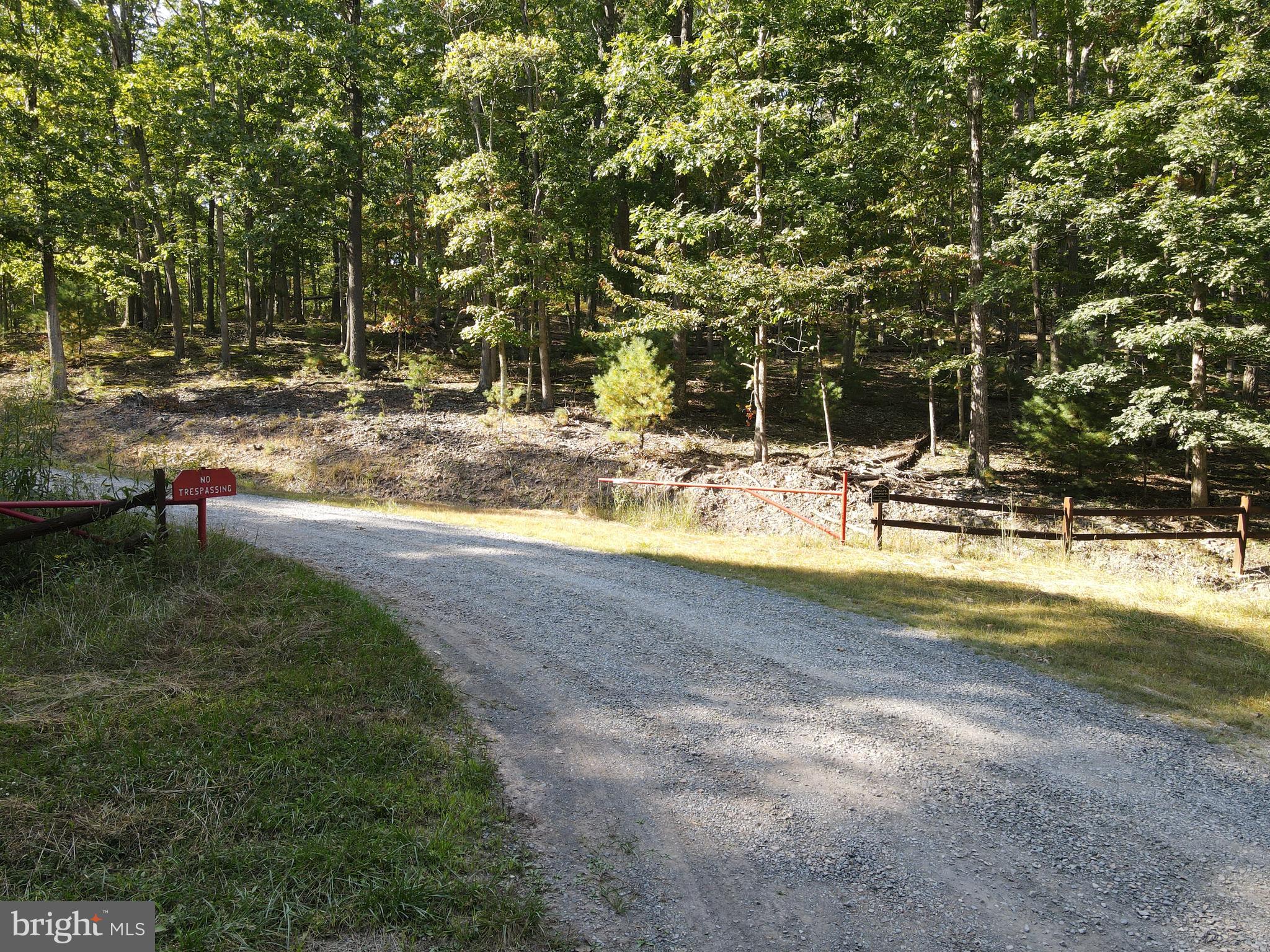 WHITETAIL MOUNTAIN - Land