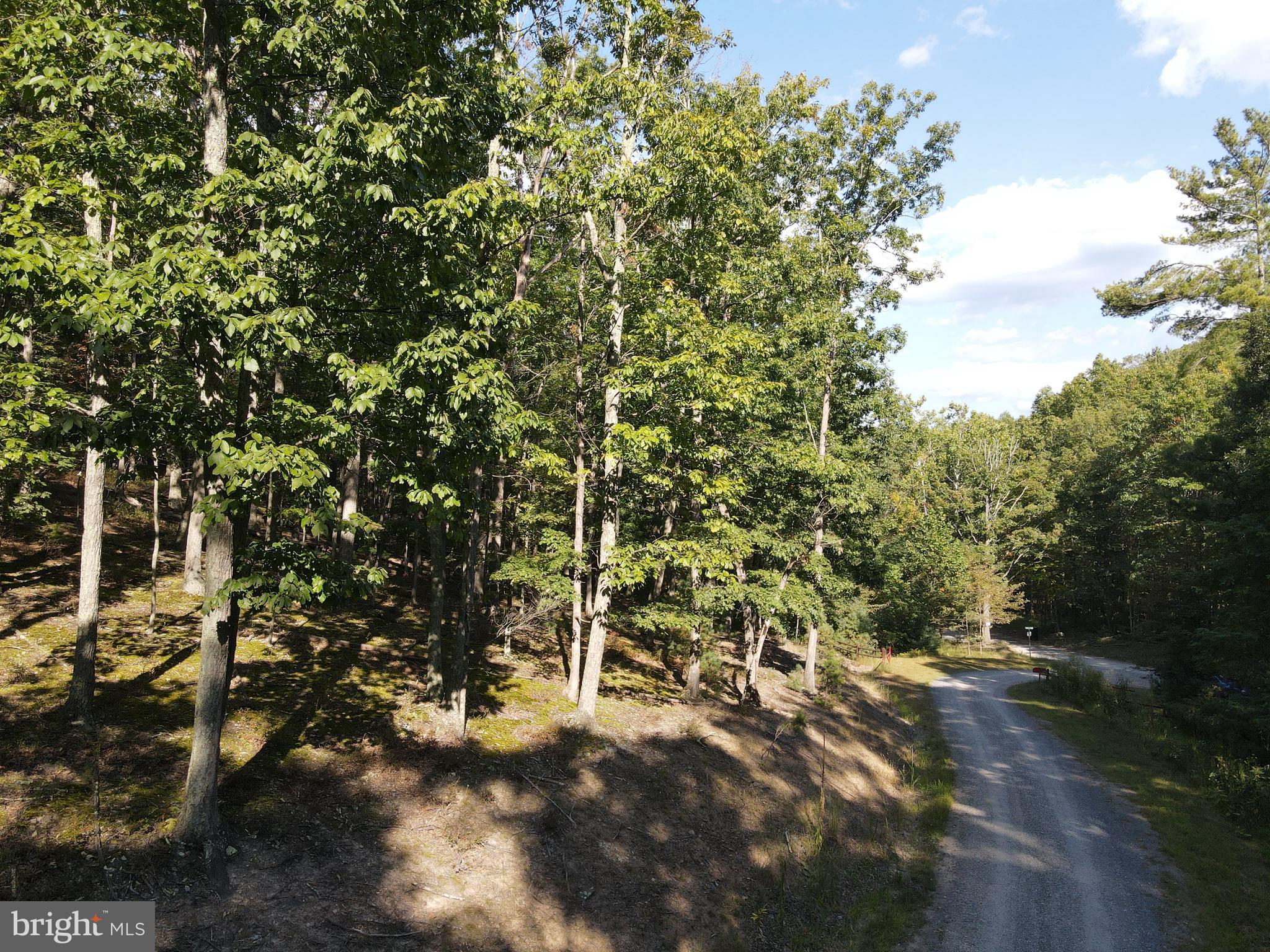 WHITETAIL MOUNTAIN - Land