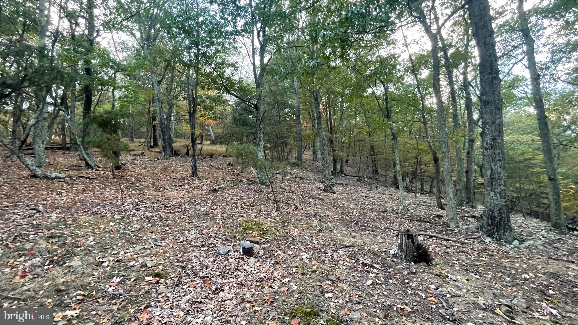 WHITETAIL MOUNTAIN - Land