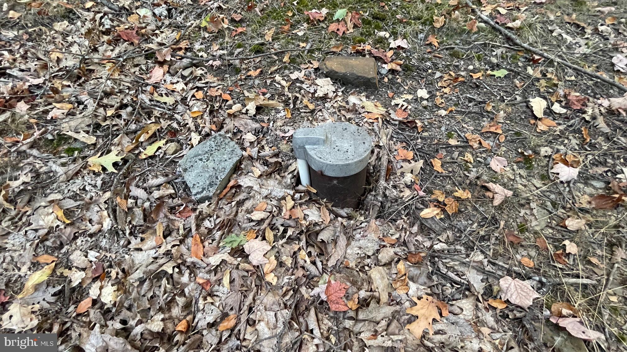 WHITETAIL MOUNTAIN - Land