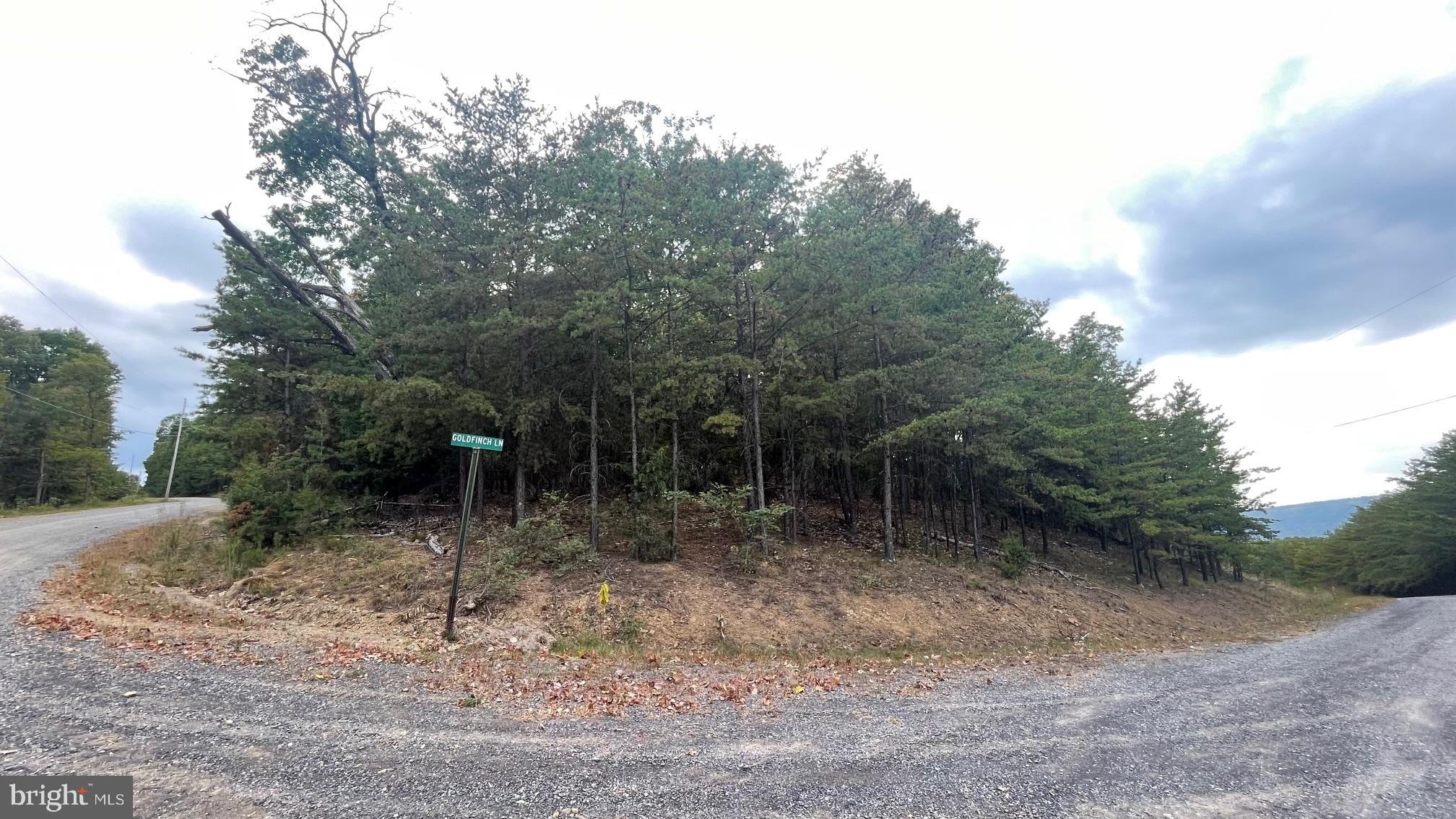 WHITETAIL MOUNTAIN - Land