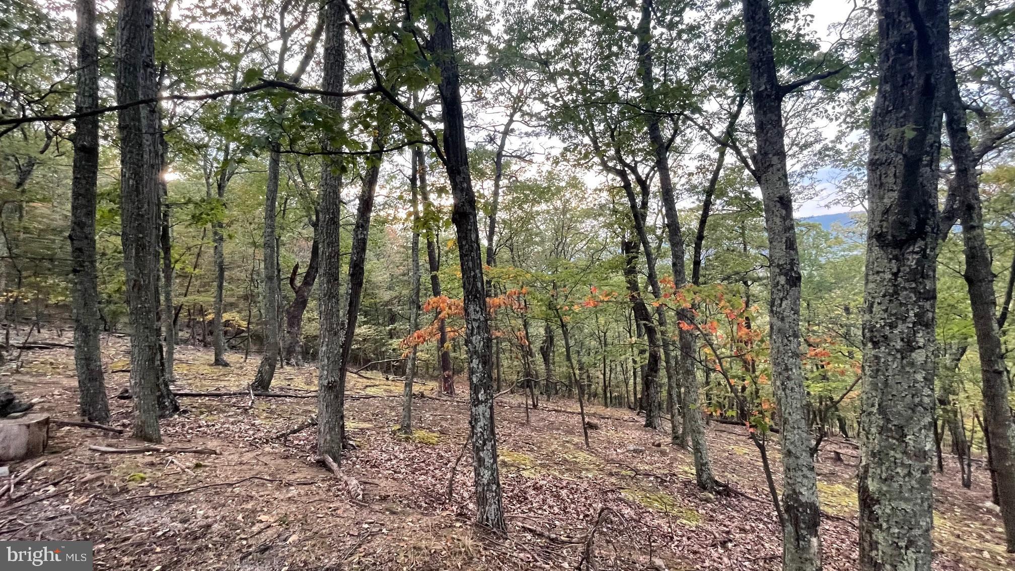 WHITETAIL MOUNTAIN - Land