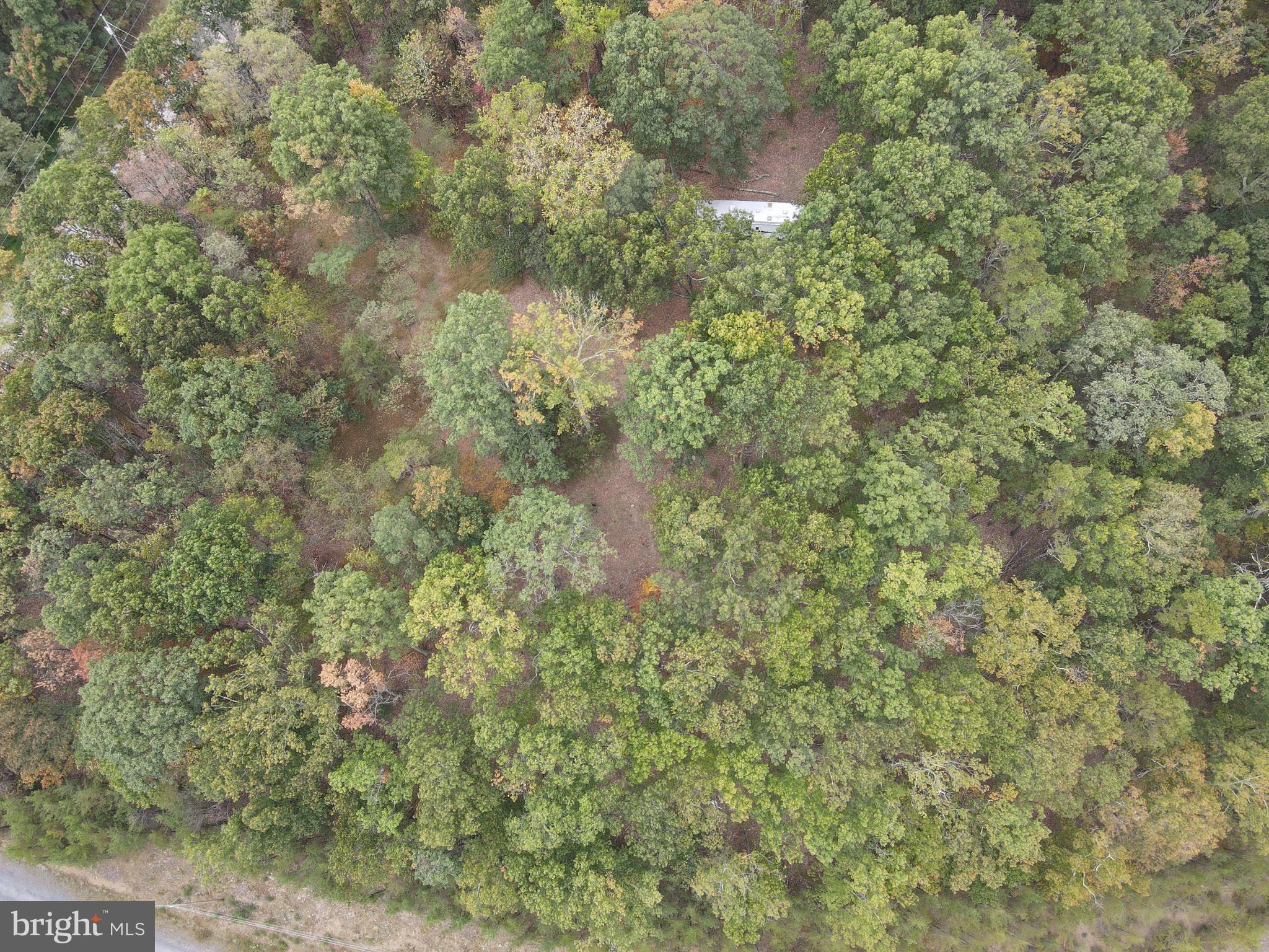 WHITETAIL MOUNTAIN - Land