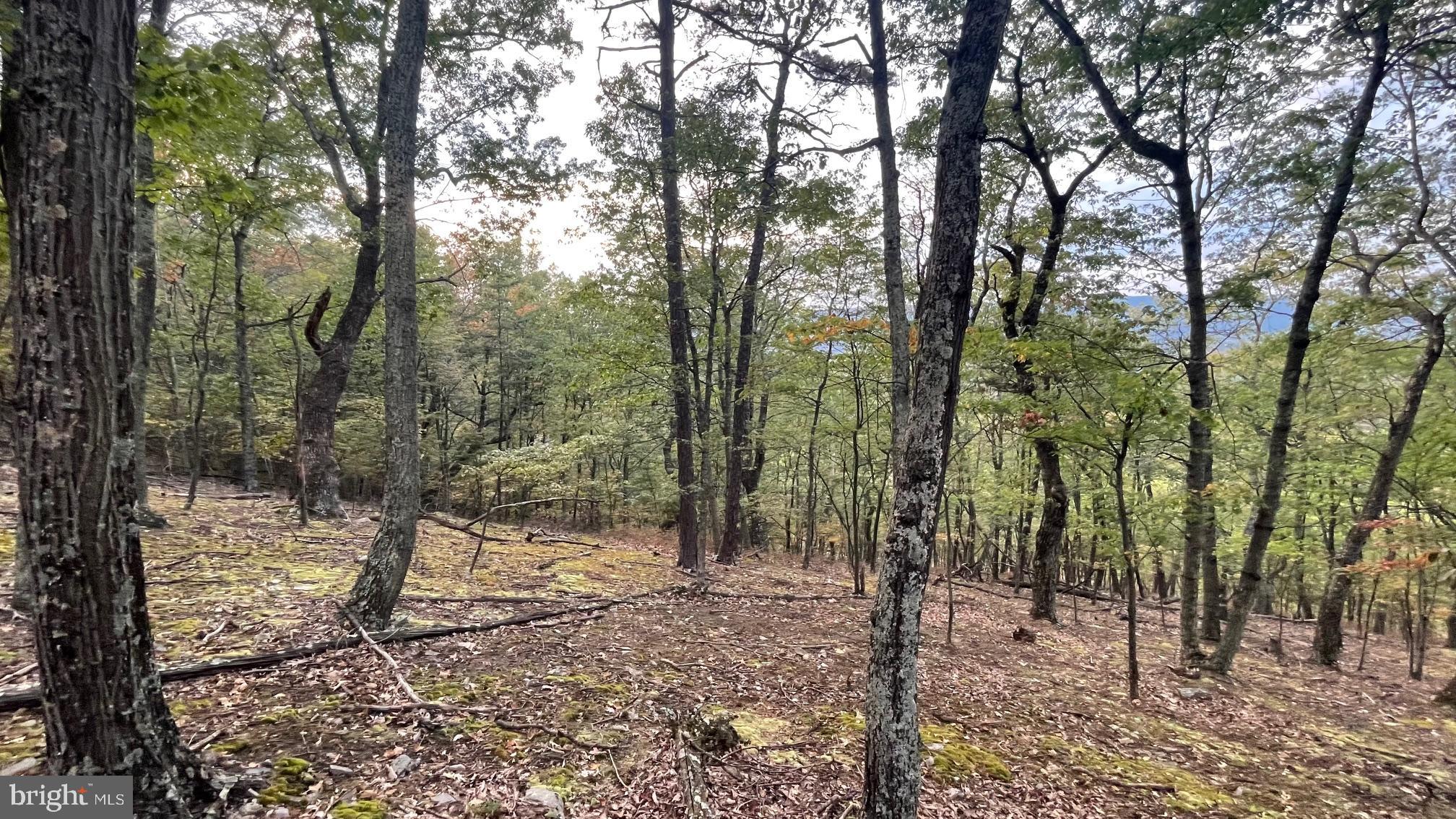 WHITETAIL MOUNTAIN - Land