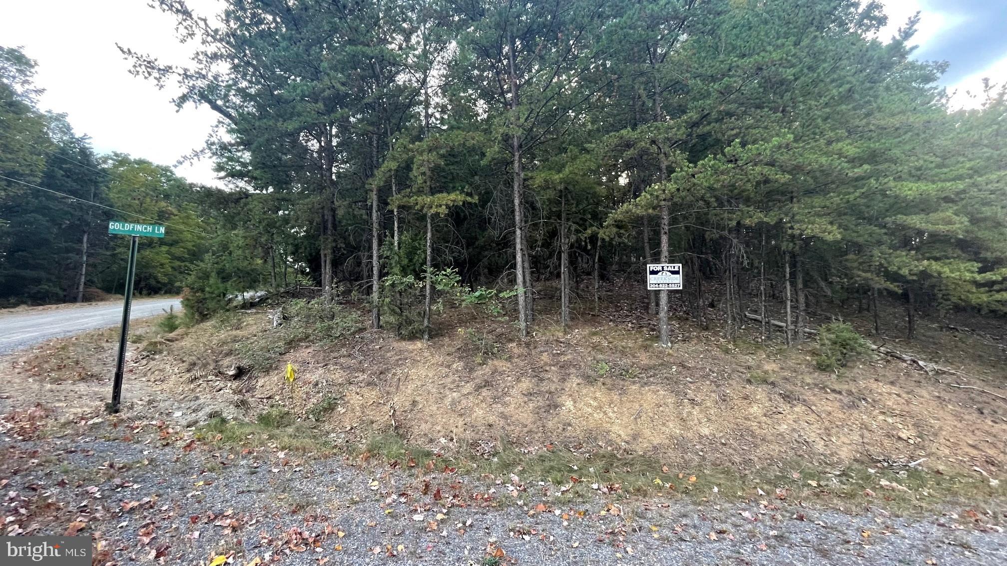 WHITETAIL MOUNTAIN - Land