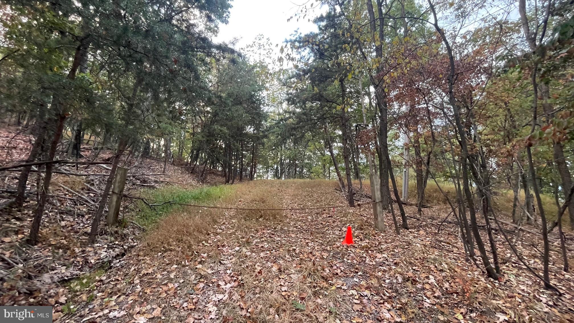 WHITETAIL MOUNTAIN - Land